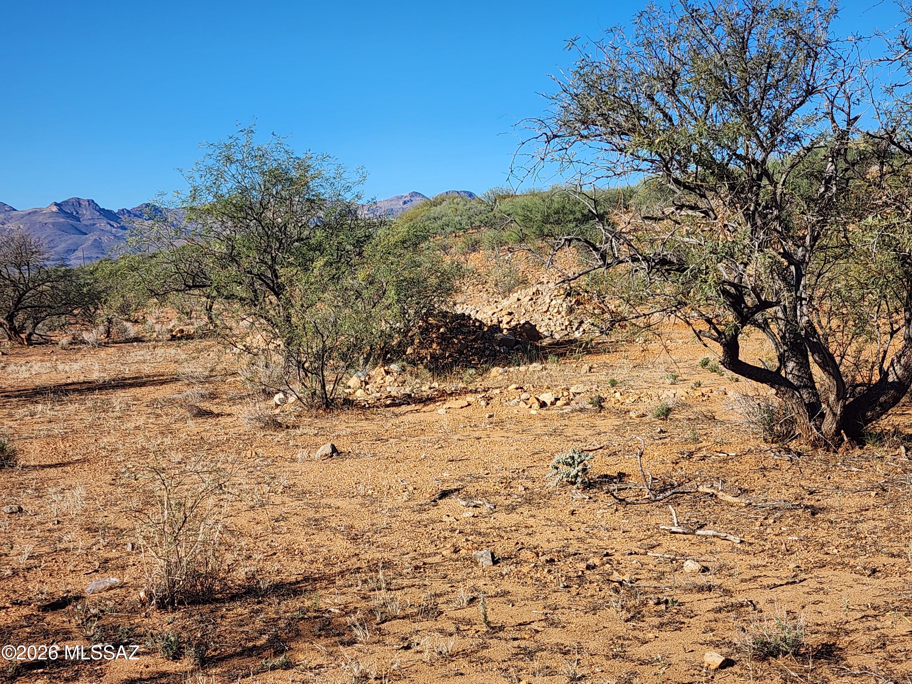 Rio Rico Estates - Land