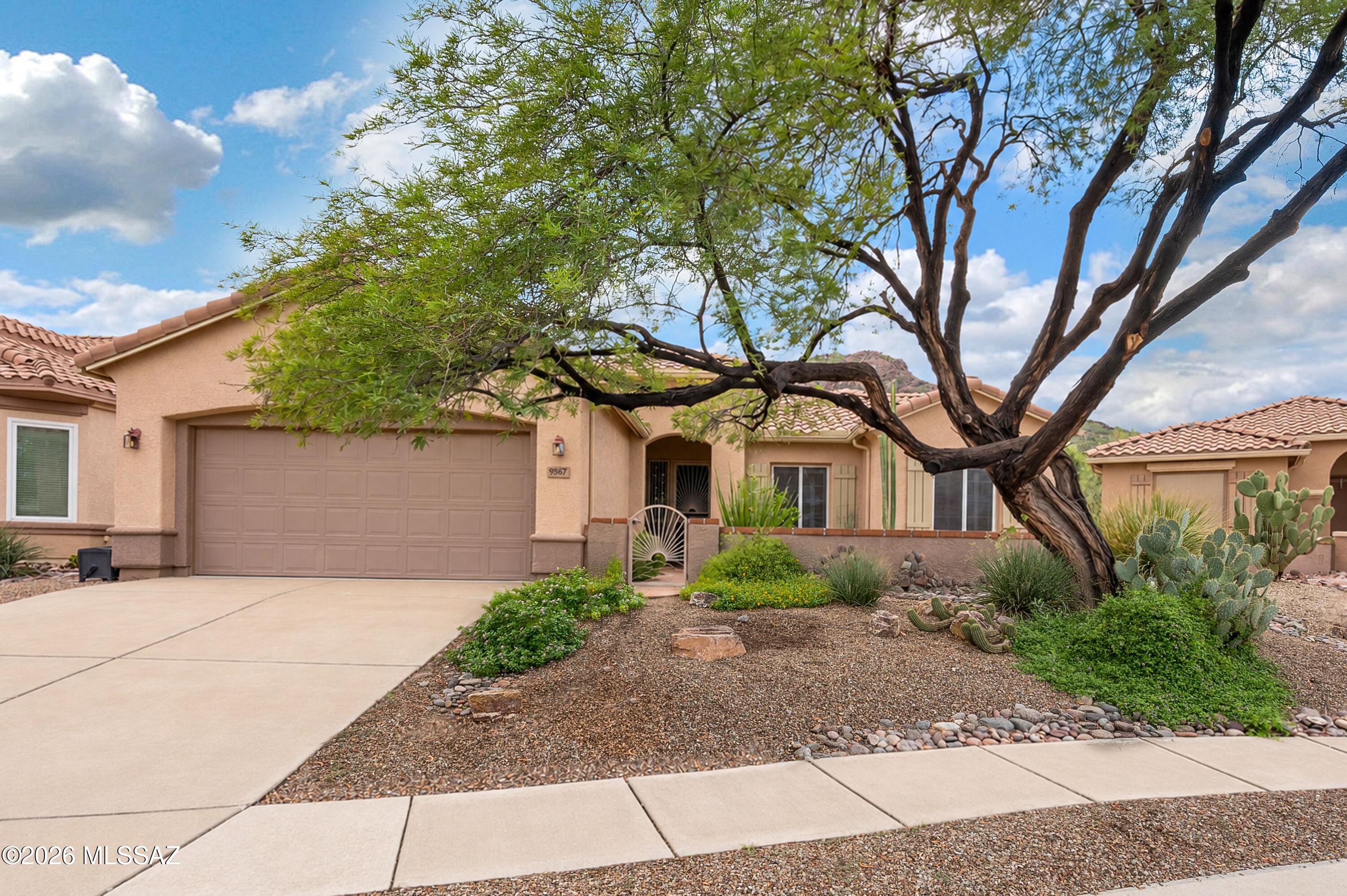 Continental Ranch Sunflower Phase V (557-729) - Residential