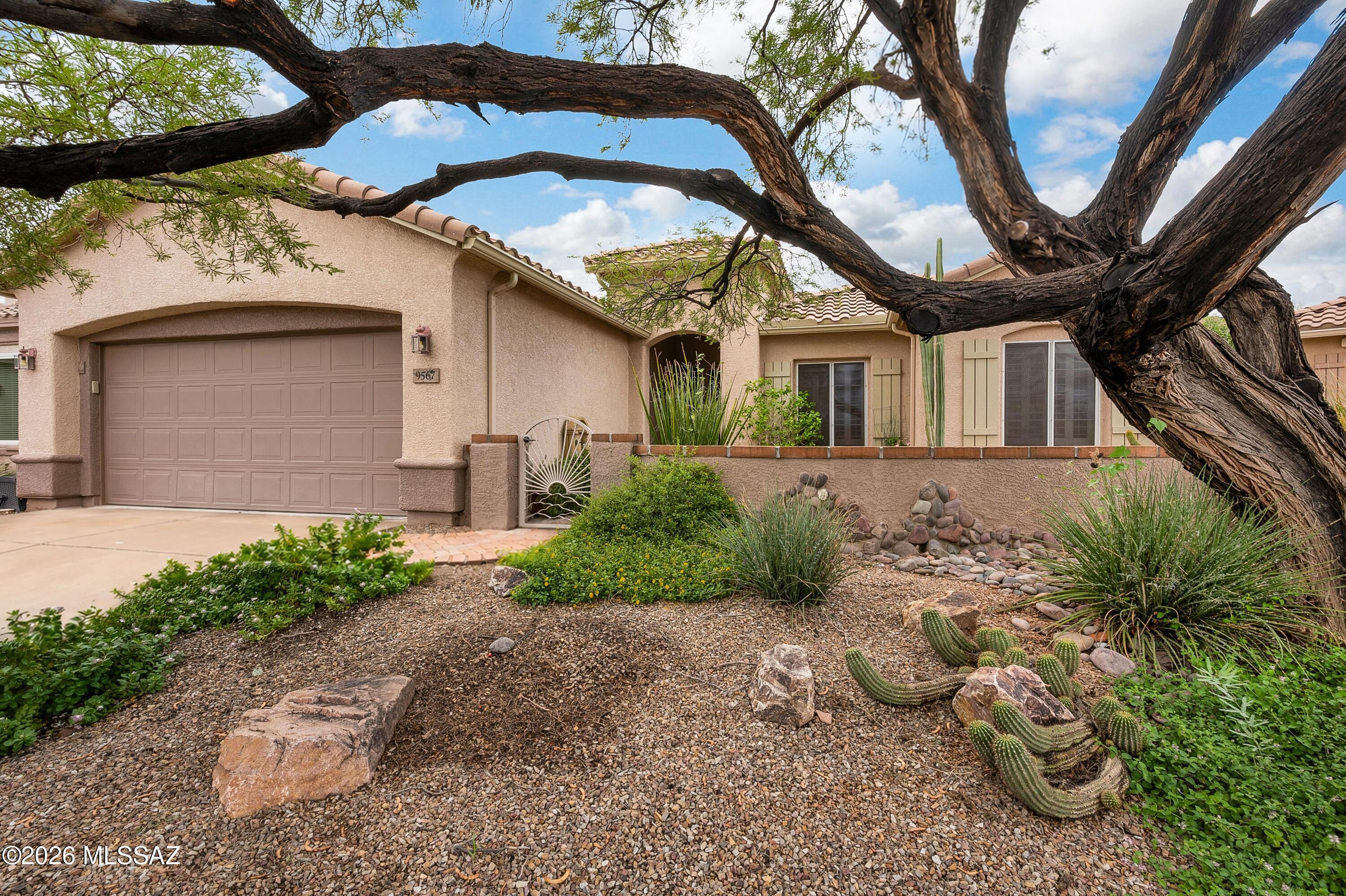 Continental Ranch Sunflower Phase V (557-729) - Residential