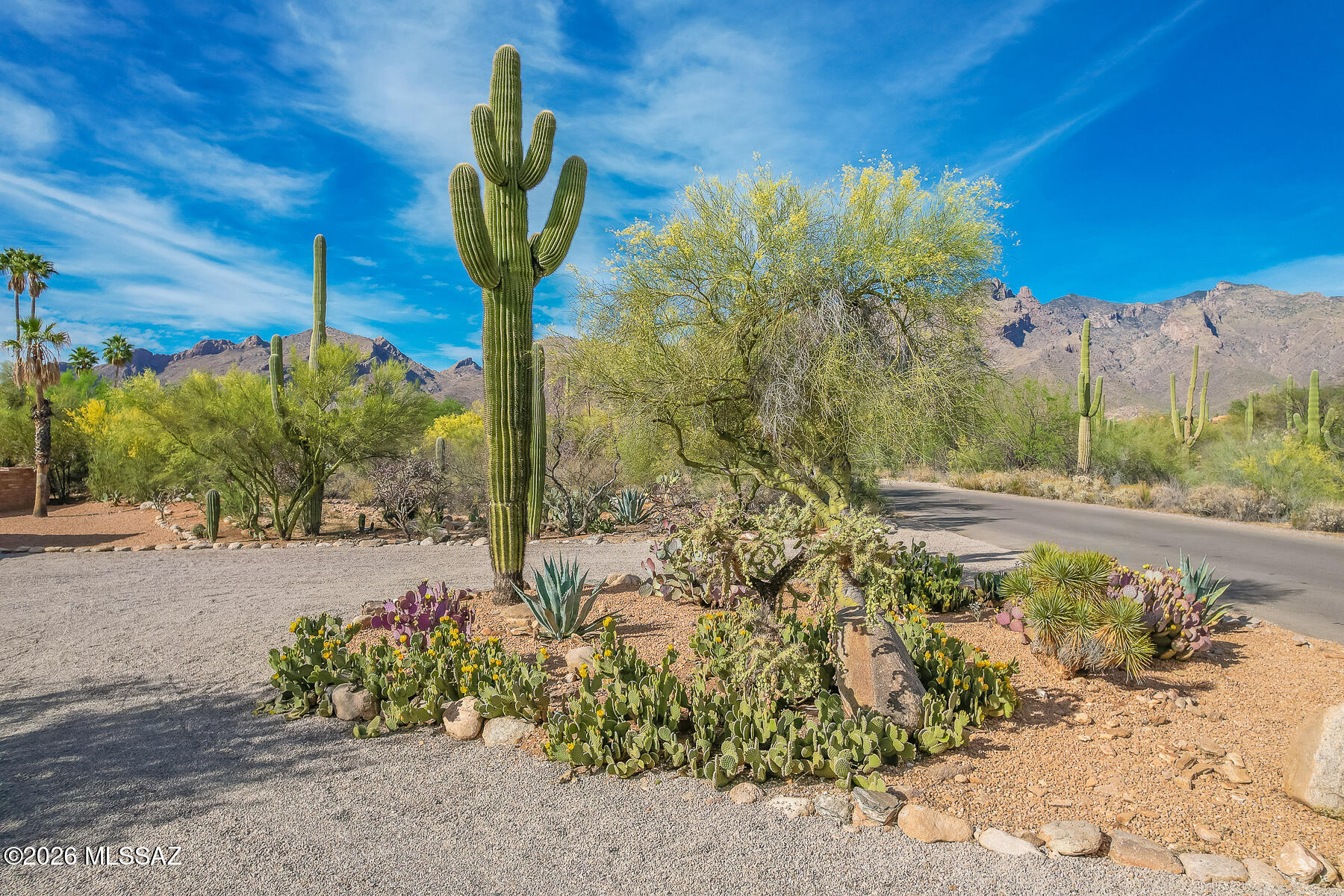 Catalina Foothills Est 9 - Residential