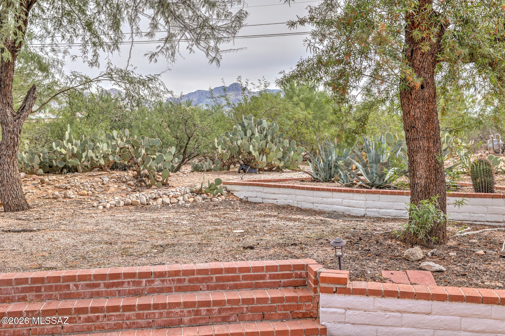 Casas Catalinas - Residential
