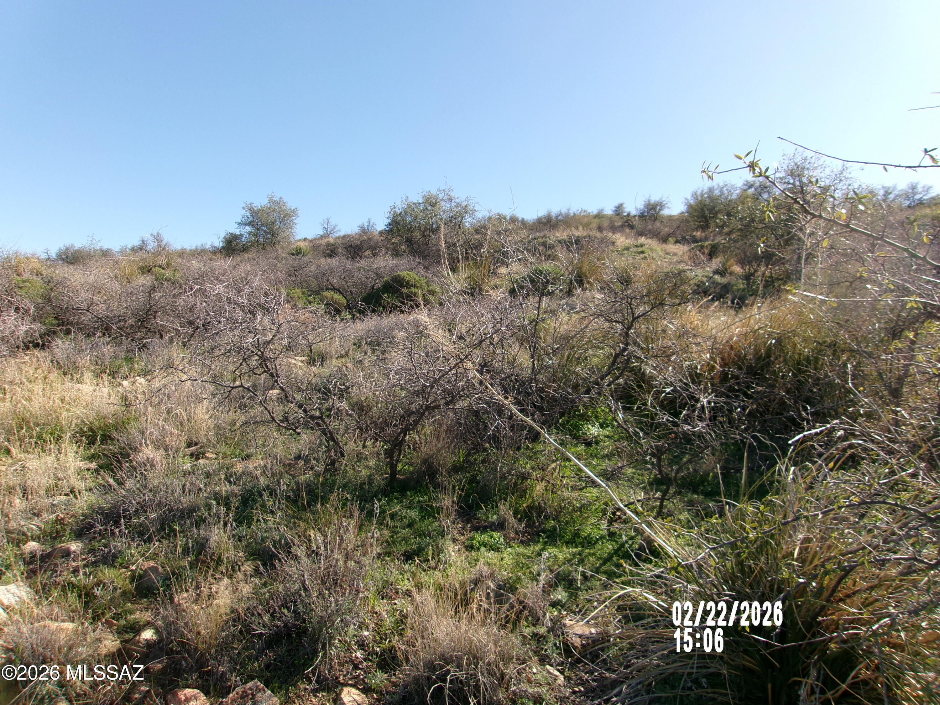 Unsubdivided - Land