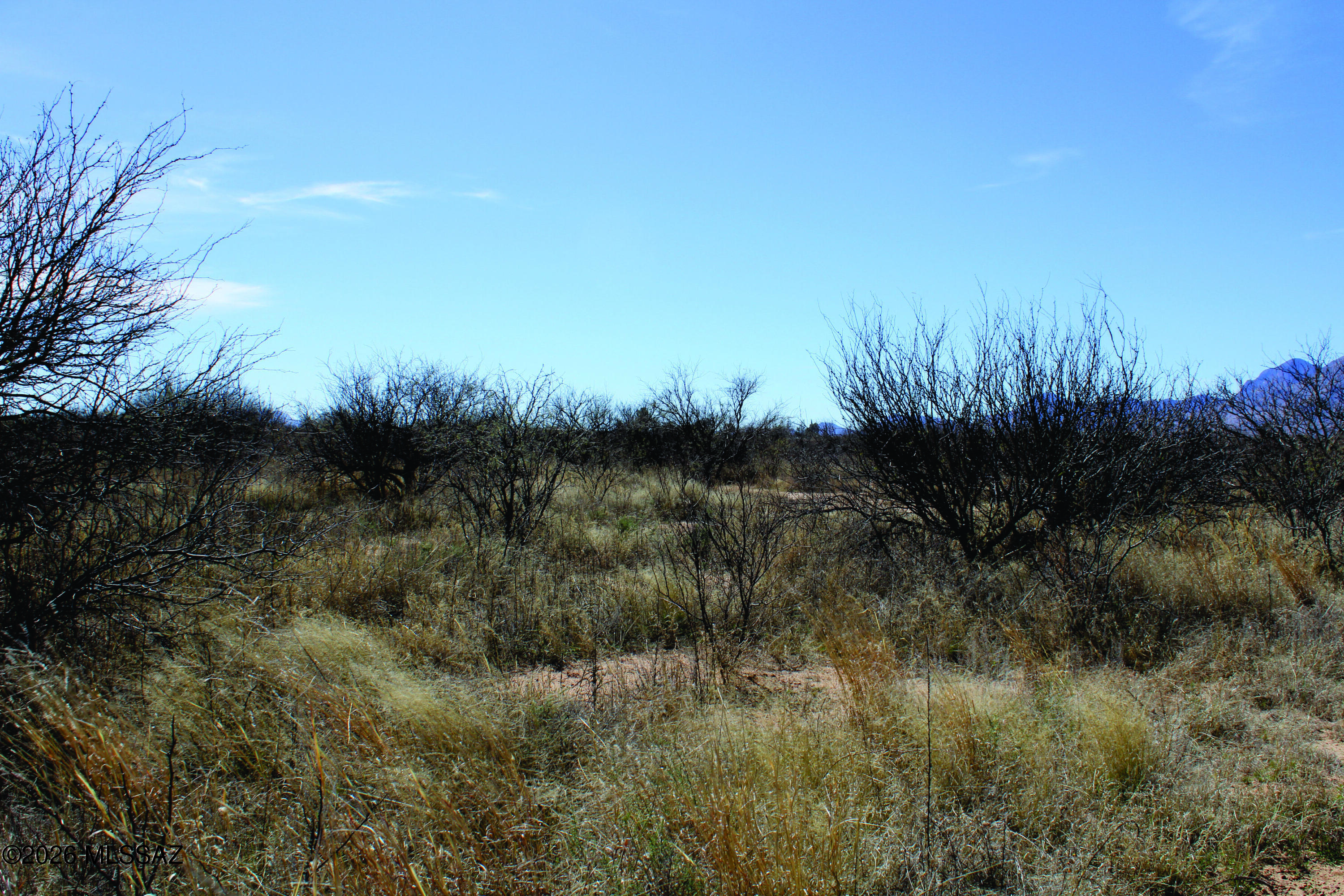 Here is a great RU-4 zoned property, ideal for the owner-builder opt-out or your traditional type of home. Power is available at the edge of the property and there is a 1/4 well share. Conveniently located between Sierra Vista and Bisbee for your shopping need. Short drive to all of Cochise Counties Historic locations. Seller financing is available with $7900 Down plus Pioneer Title account setup and closing Costs, for10 years at 9.9 percent interest. with a payment of $289.51 per month plus Pioneer Title Processing fee and impounded property tax.