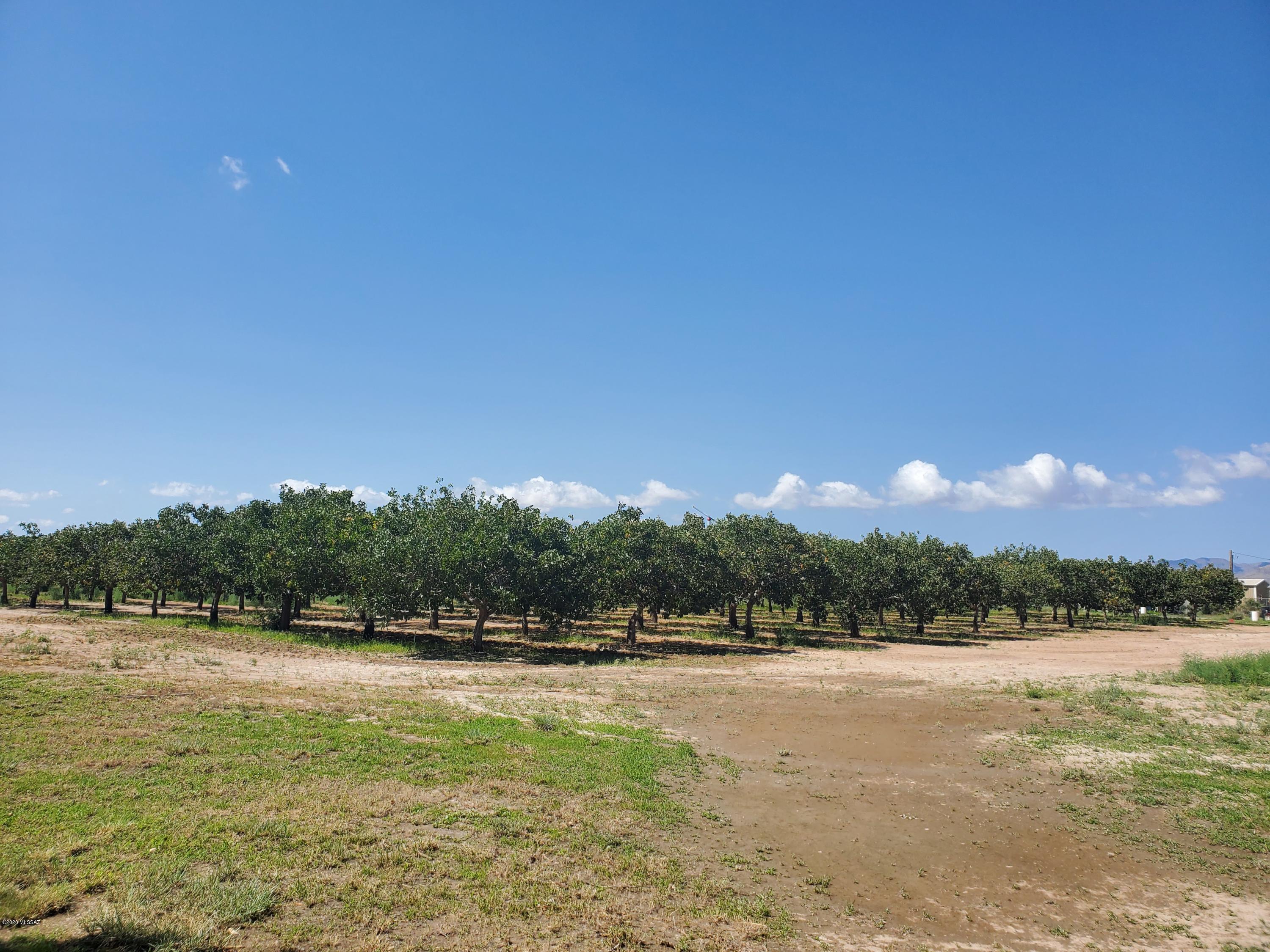 7 acres of mature producing Pistachio trees. 40x75 Steel Shop with concrete floor, 240 amp power and 25x75 awning. Sale also includes the wind machine for the trees. Property does have 3 phase power. 8 wells in total on the property, 3 are fully equipped and in use. Property has 50 acres that could be planted in trees also. Beautiful custom built country home on 68 acres. 4 bedroom, 3 bath with beautiful new flooring and paint through out the home. 10' Ceilings with upgraded fans in all of the rooms. There is a huge family room that would be an entertainers dream.. The kitchen is spacious with ample cabinets and newer appliances. Formal dining area and comfortable living room with a fireplace. Master Bedroom has remodeled walk in shower and walk in closet. Metal roof, and 3 ac units.