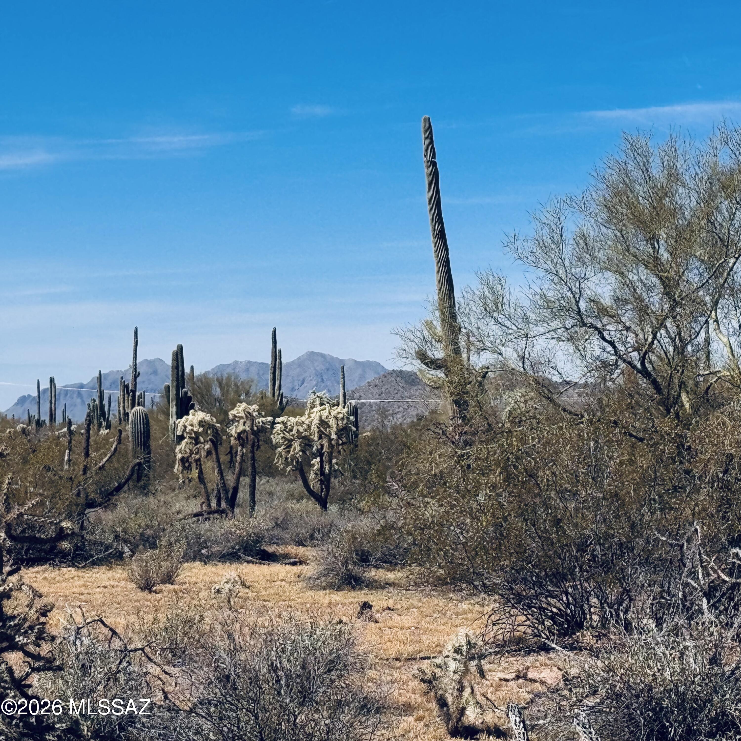 Adjacent to an entire Section of State land to the west! Lush 5 acre parcel with all utilities to lot line with the best price! Fabulous sunsets, great Tortolita Mountain views. This is a perfect homesite and/or investment for the future. Growing area in Marana. Good time to buy. Seller will carry with $75,000 down!