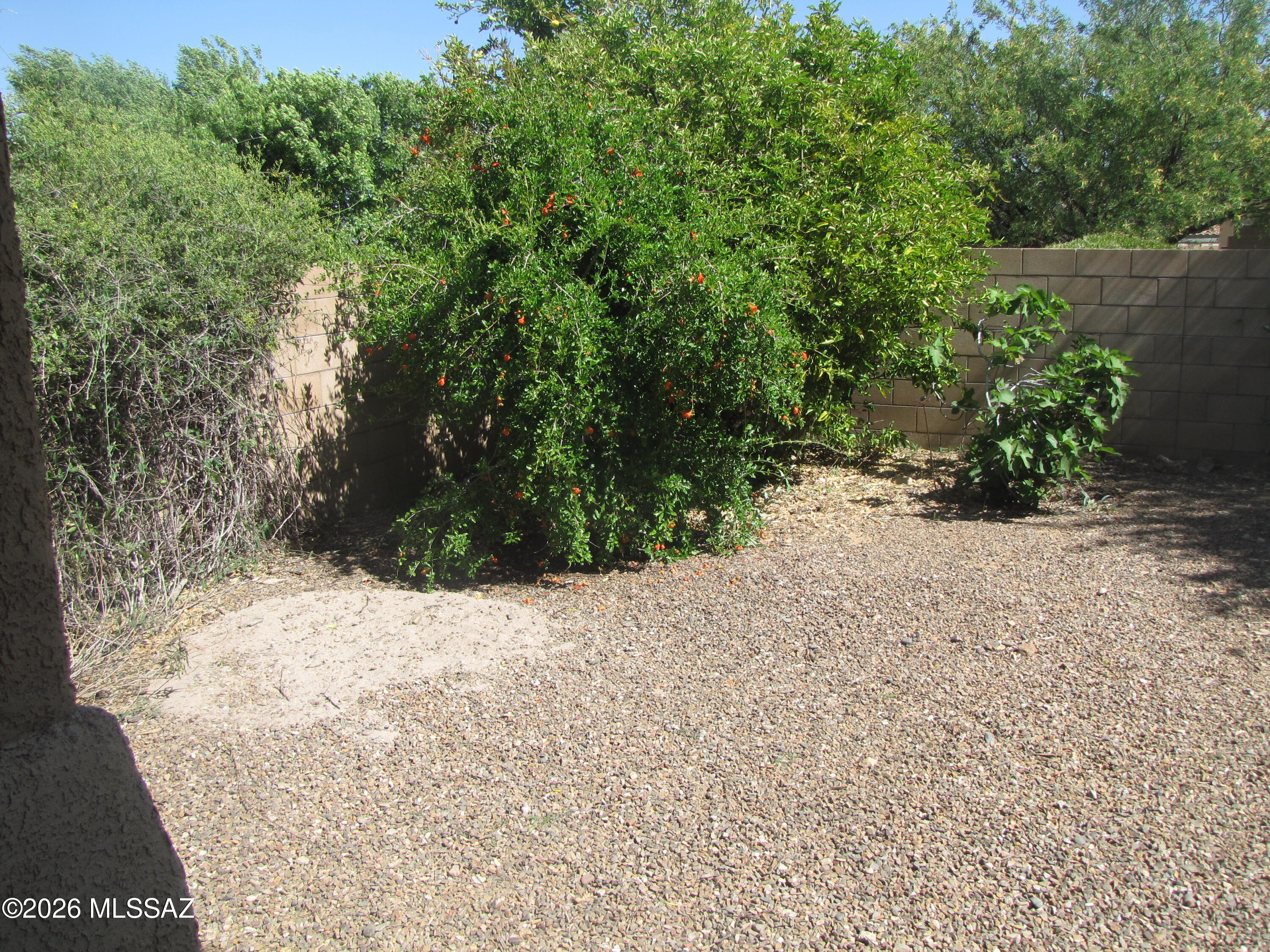 Oasis Santa Rita (1-298) - Residential Lease