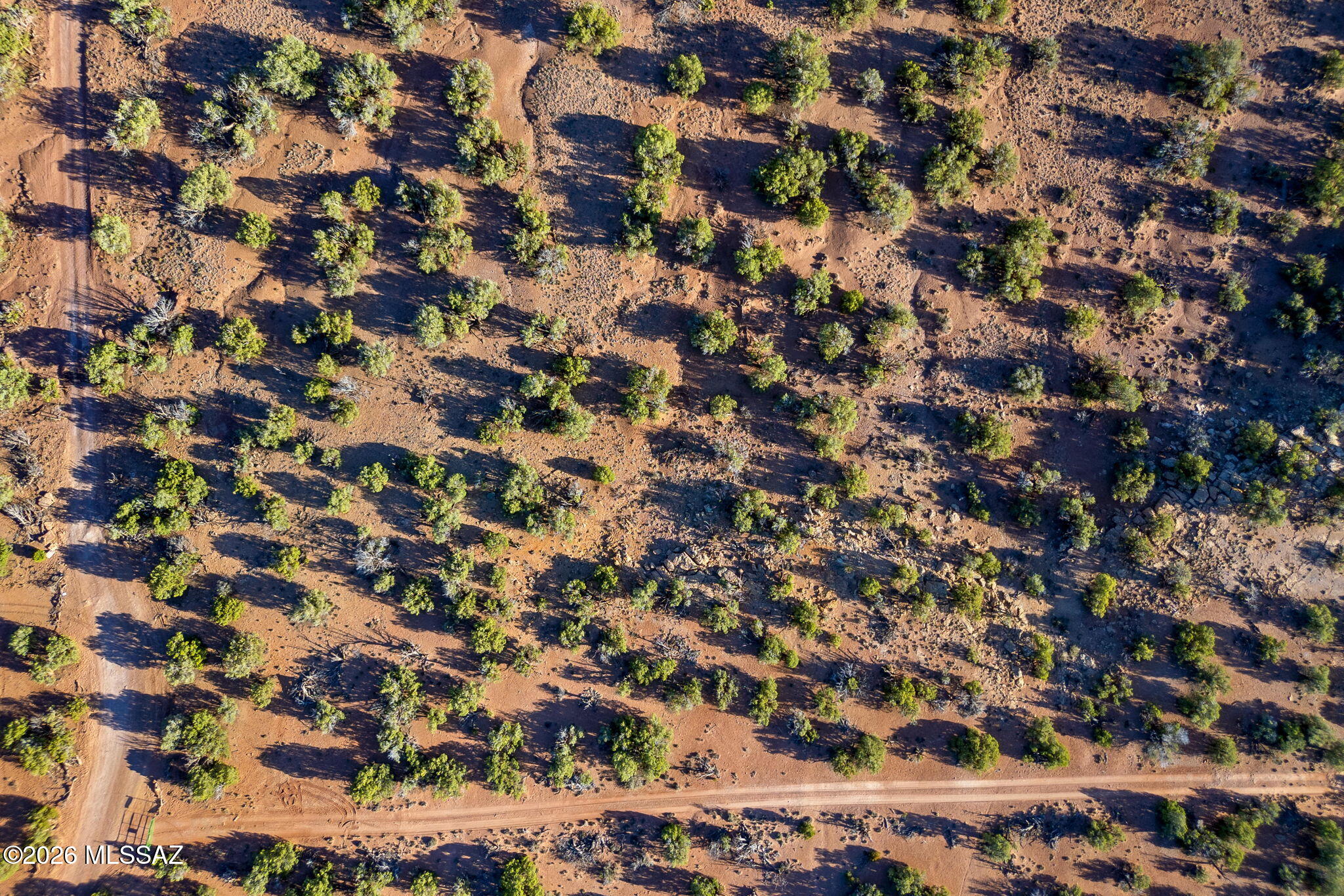 Out Of Pima County - Land