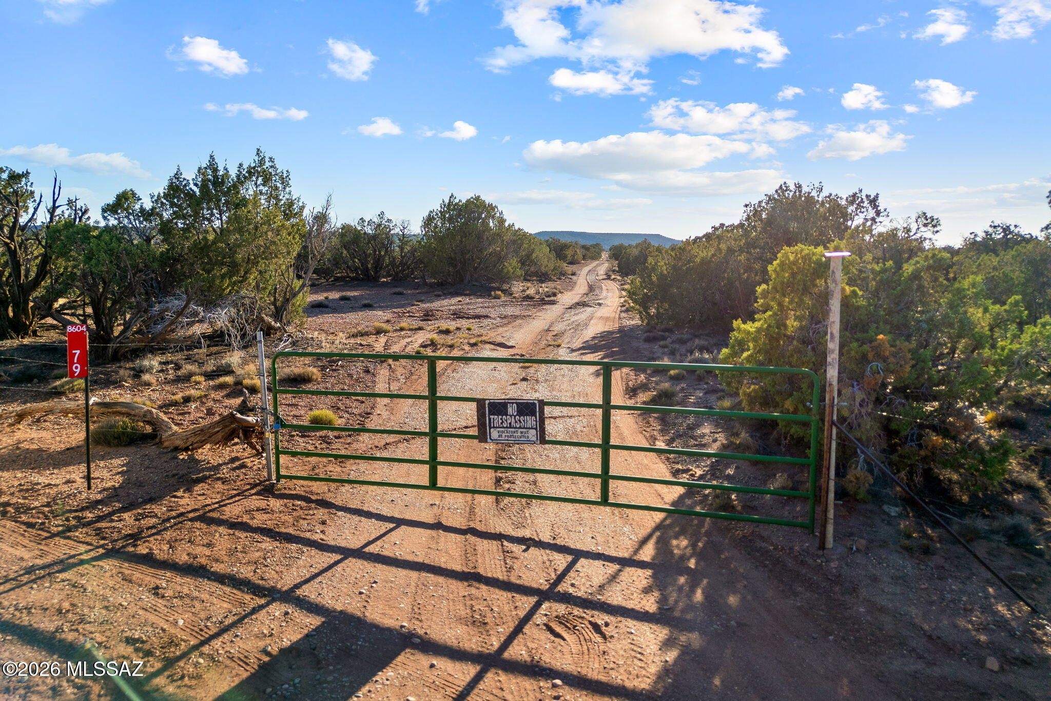 Out Of Pima County - Land