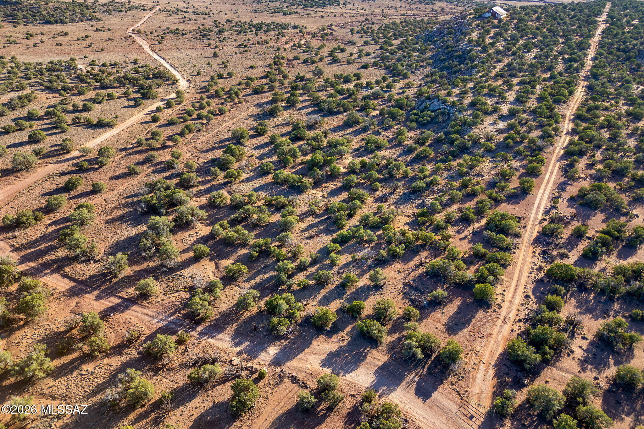 Out Of Pima County - Land