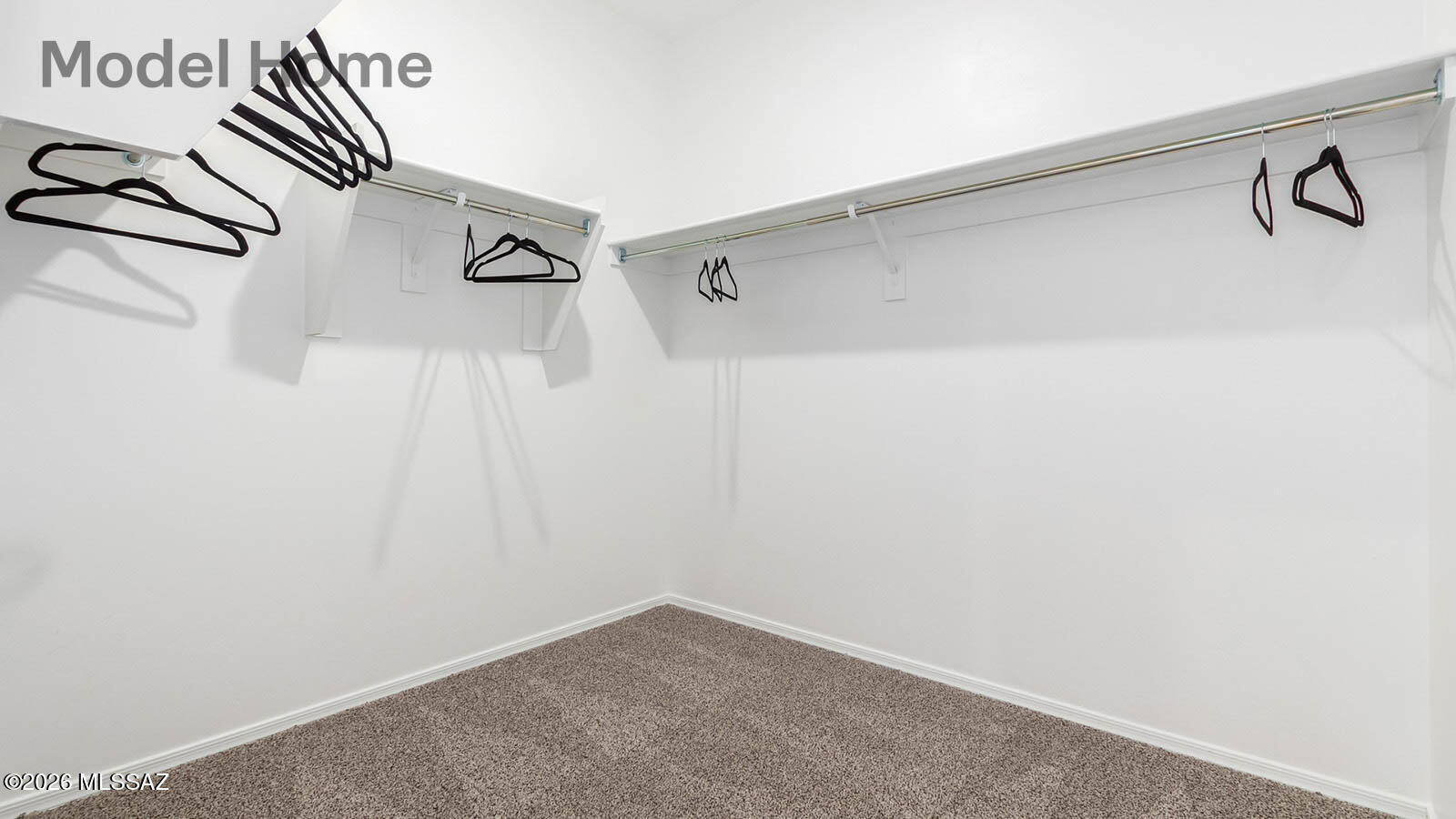 Saguaro Bloom SQ20180540069 - Residential