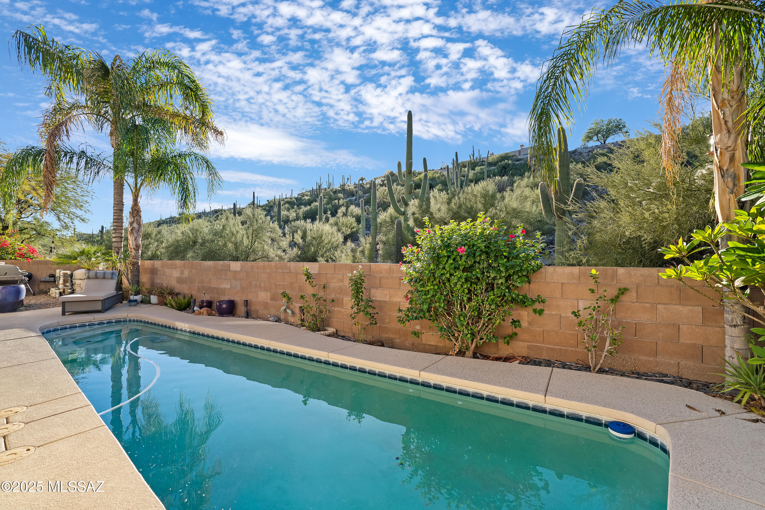 Sabino Mountain (1-290) - Residential