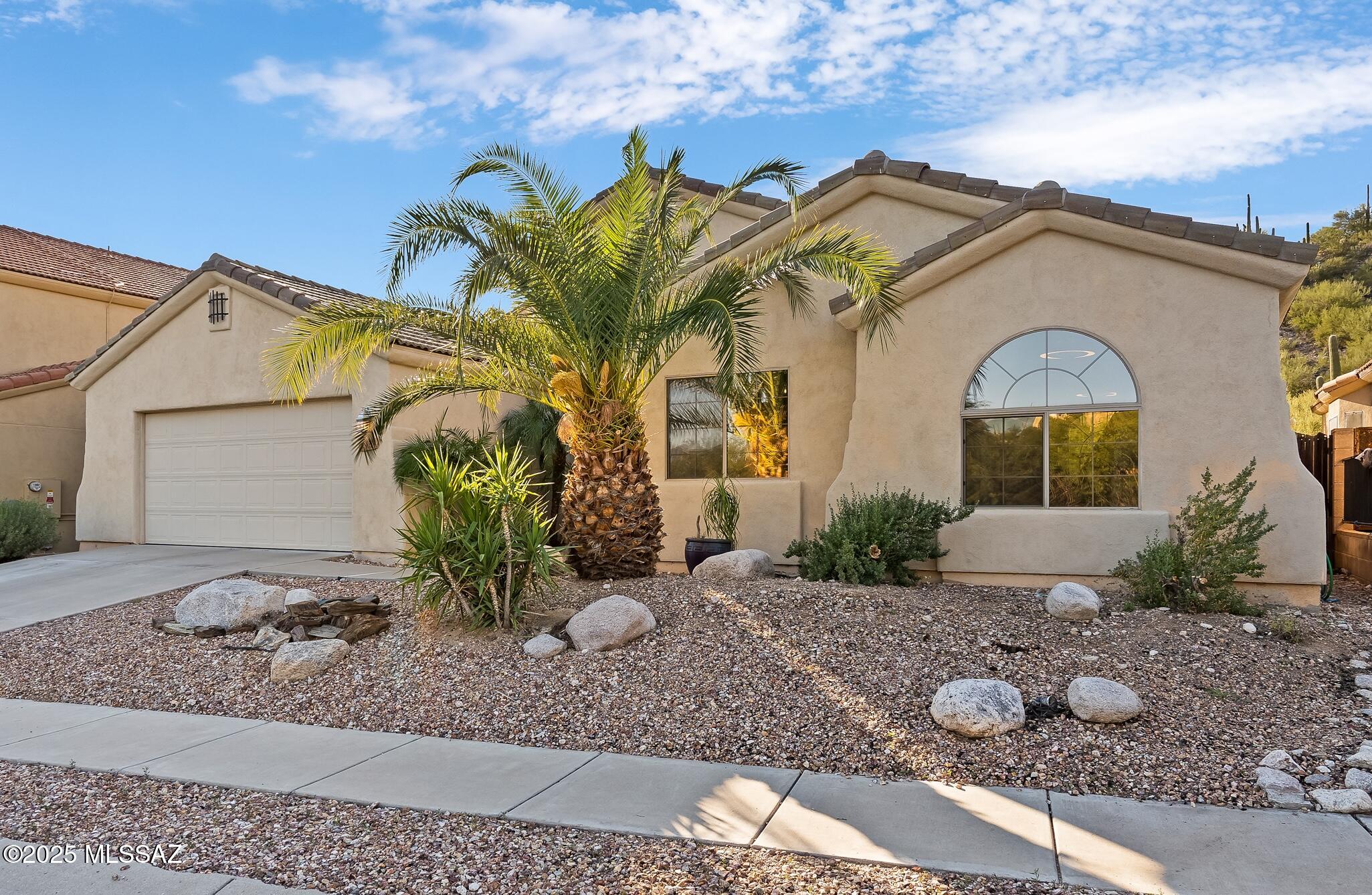 Sabino Mountain (1-290) - Residential