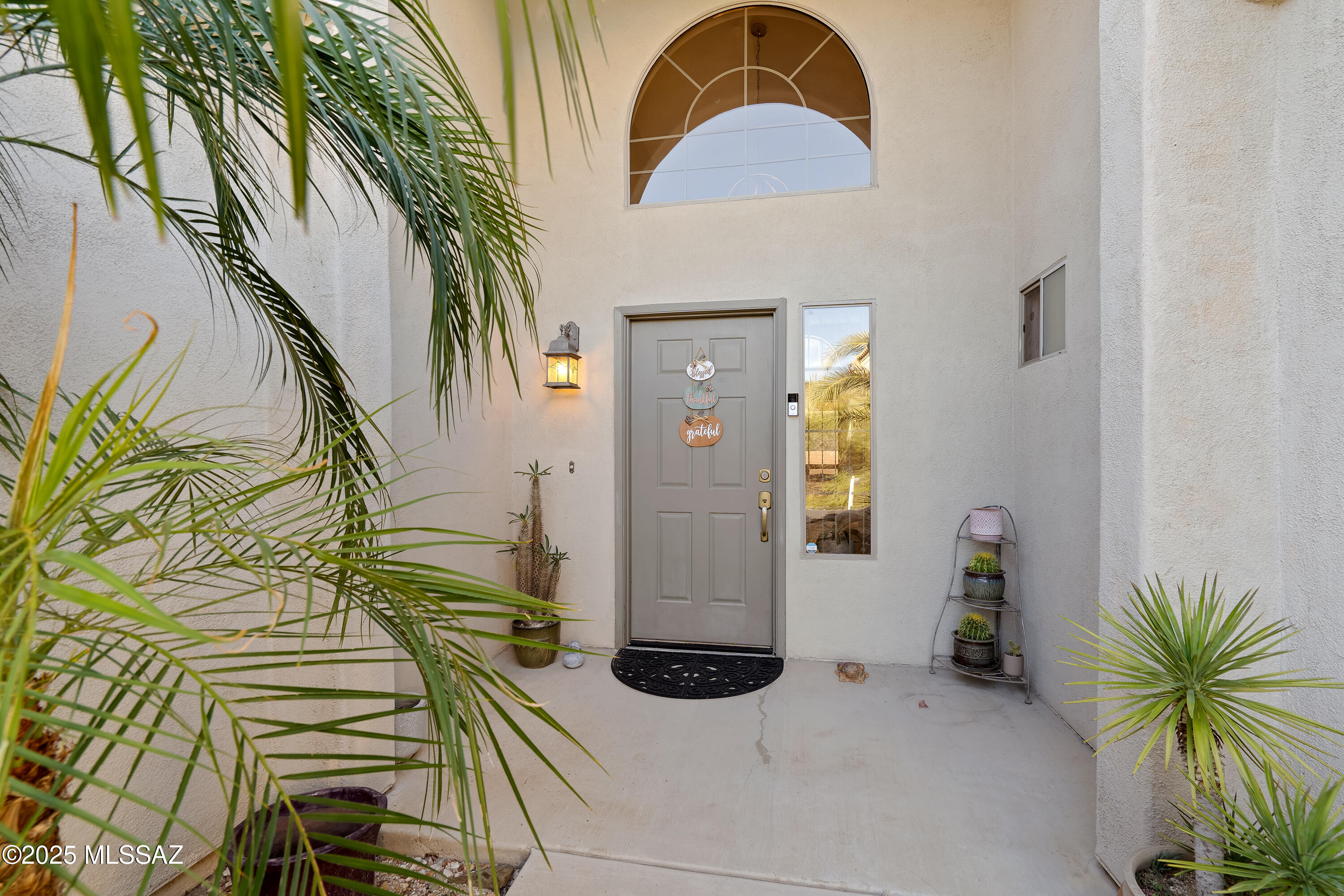 Sabino Mountain (1-290) - Residential