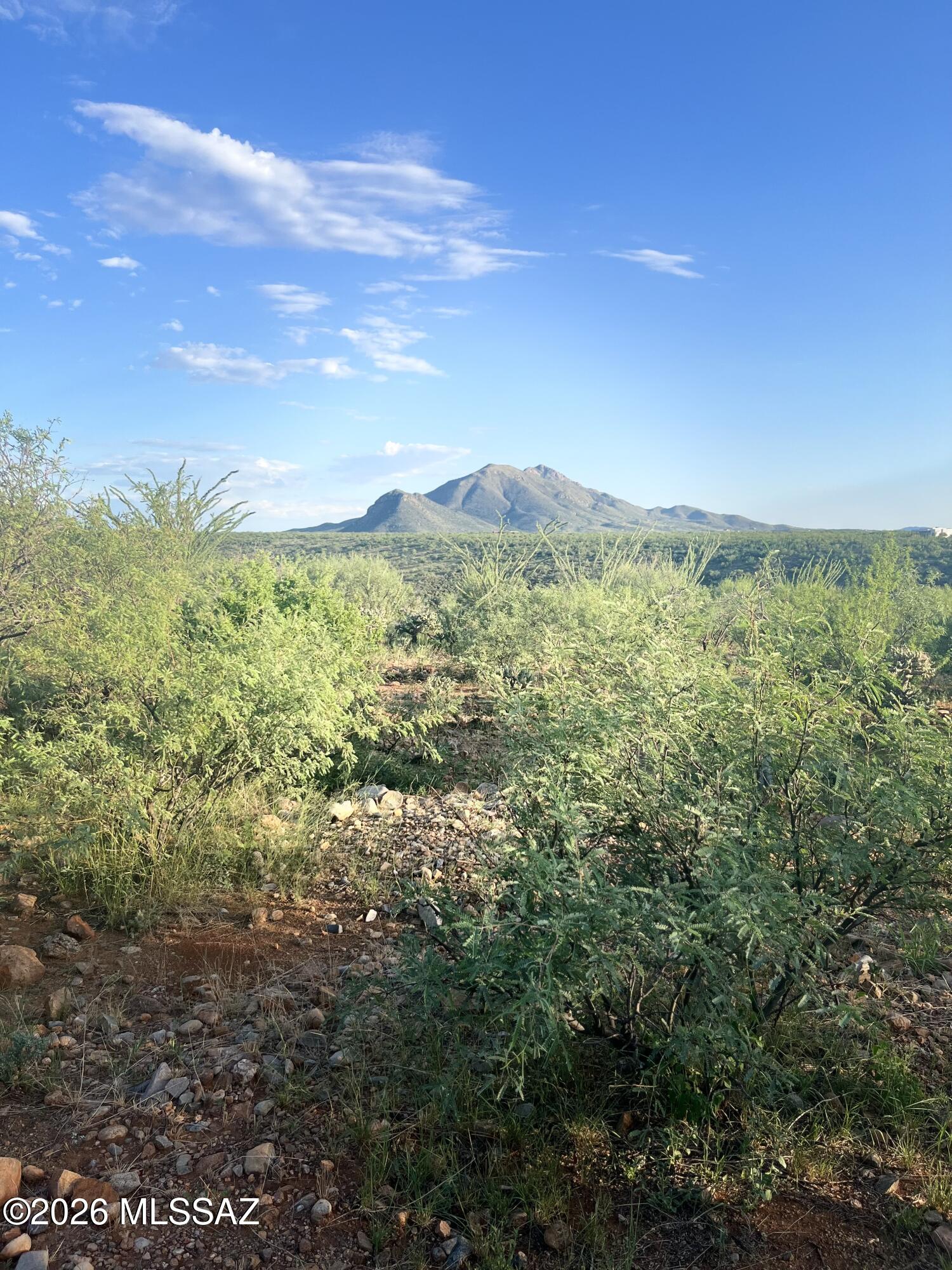 Tubac Foothills Ranch - Land