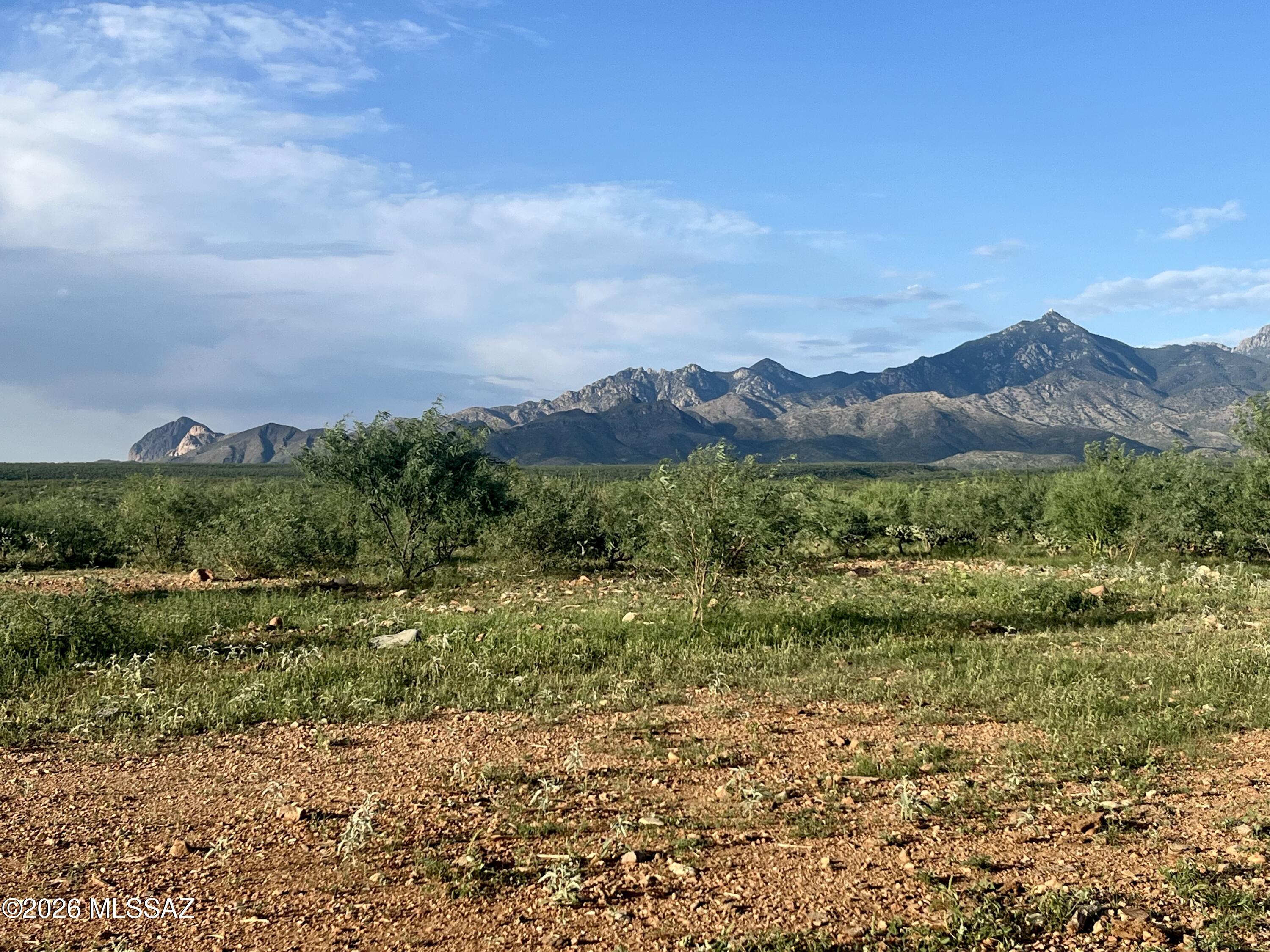 Tubac Foothills Ranch - Land