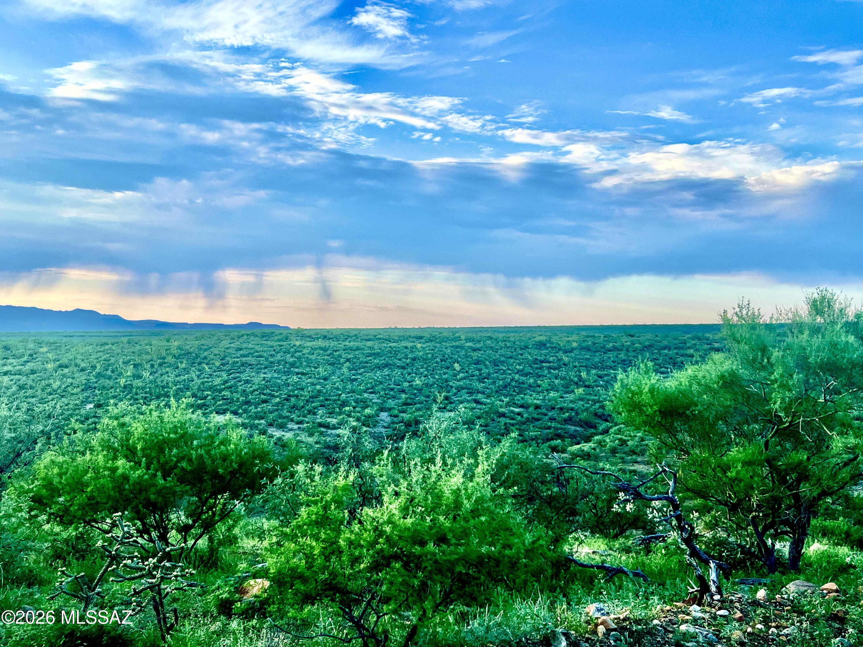 Tubac Foothills Ranch - Land