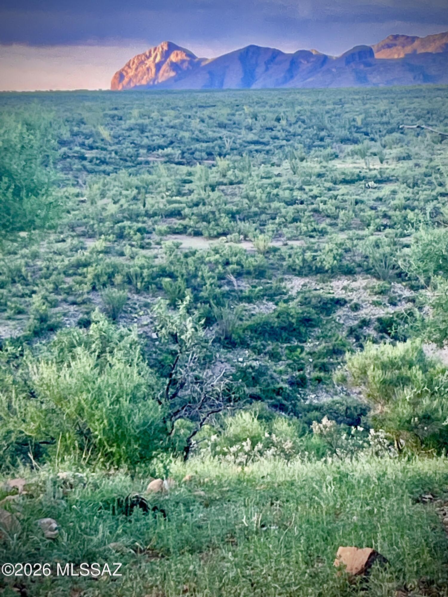 Tubac Foothills Ranch - Land