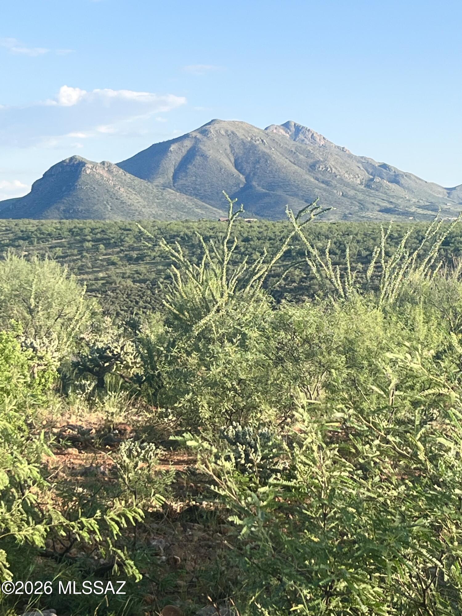 Tubac Foothills Ranch - Land