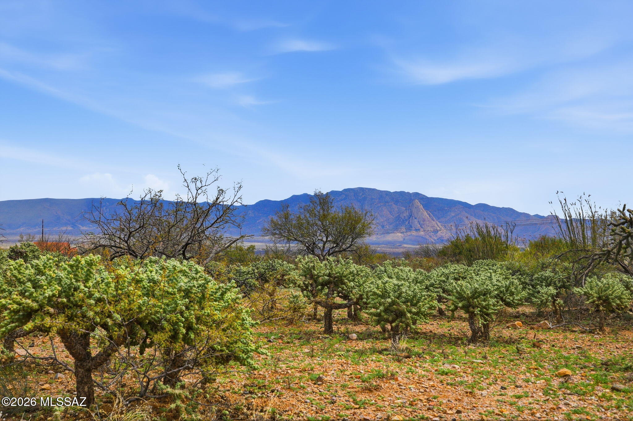 Enjoy incredible mountain views from this elevated, easily accessible lot, offering a flat and convenient building area with electricity available on the lot. The property is fully fenced and ideal for horses, providing plenty of space to create your perfect setup. This peaceful location offers a quiet rural feel while still being just minutes from I-19 and close to Green Valley's shopping and amenities. A wonderful opportunity to build your dream home or retreat in a scenic, convenient setting.