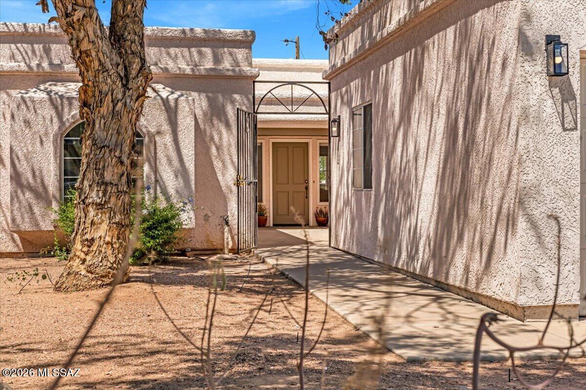 Vine Tree (1-11) - Residential