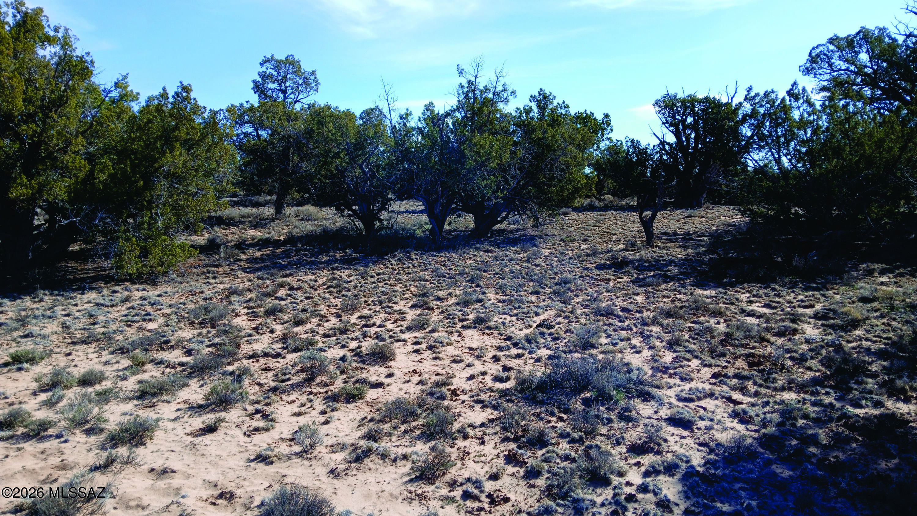 Nearly 9 acres of peace and quiet. Situated in beautiful Apache County. Perfect to start your off-grid dream. Enjoy the Arizona Outback with plenty of room for all of your animals. Seller financing is available with $2900 Down plus Pioneer Title account setup and closing Costs, for 3 years at 9.9 percent interest. with a payment of $225.54 per month plus Pioneer Title Processing fee and impounded property tax.