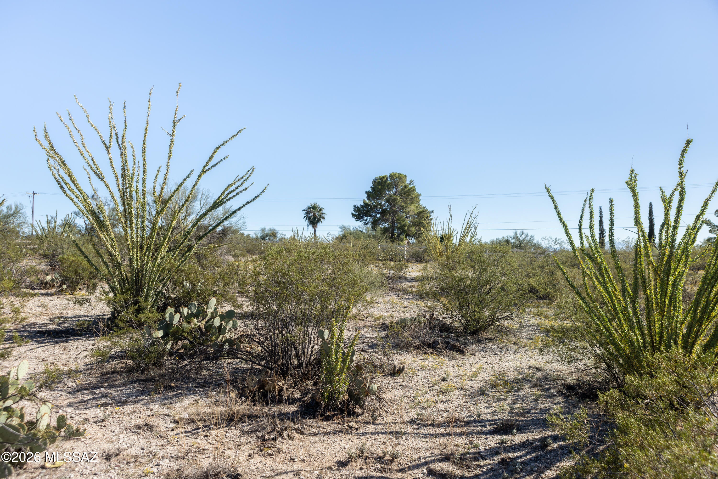 Manning Camp Enclave (1-11) - Land