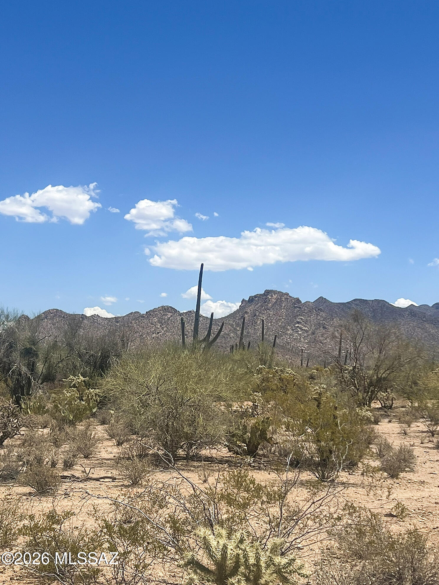 Stunning Build-Ready Lot with Panoramic Views! Discover the perfect canvas for your dream home at 2494 N Camino Avra. This flat parcel offers breathtaking mountain views and some legwork in place. Sandario water is at the street; electric is just 50 ft from the lot line; needs septic & propane.
 A recent survey was completed with all corners staked, and a perc test was completed in 2005. GR-1 Zoning allows you to customize the land to your needs with site builds, manufacturers, and some agricultural options allowed.