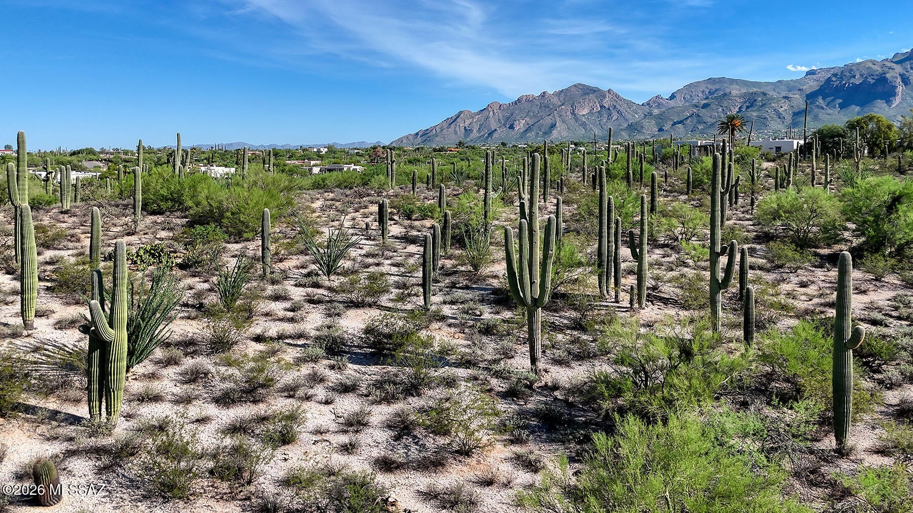 Catalina Foothills Estates - Land