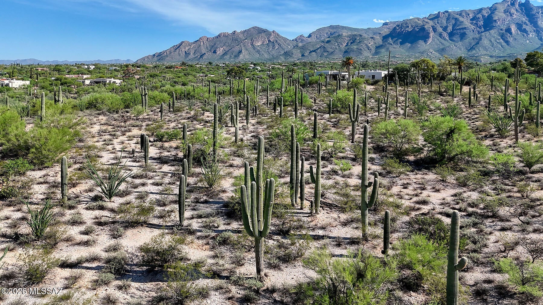Catalina Foothills Estates - Land