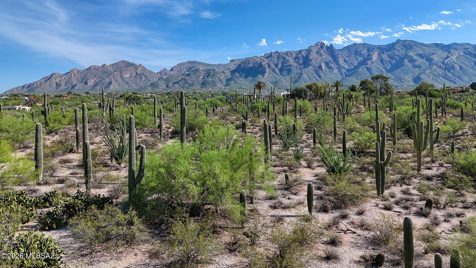 Catalina Foothills Estates - Land