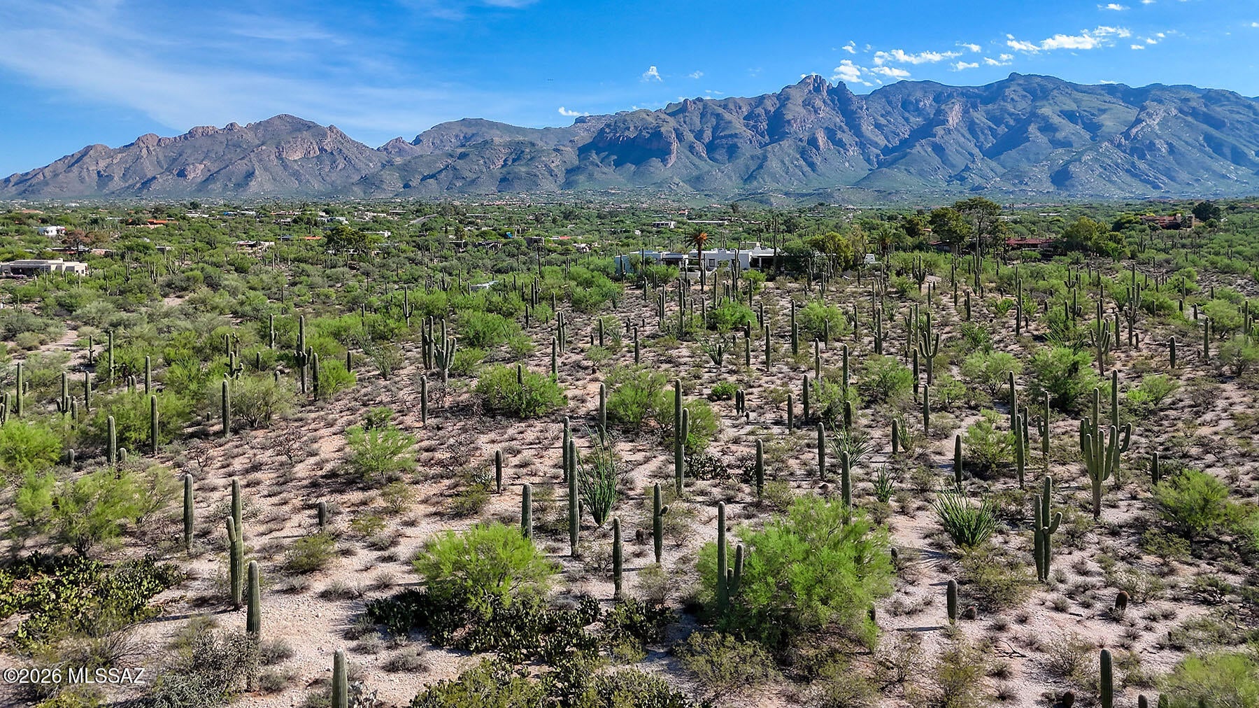 Catalina Foothills Estates - Land