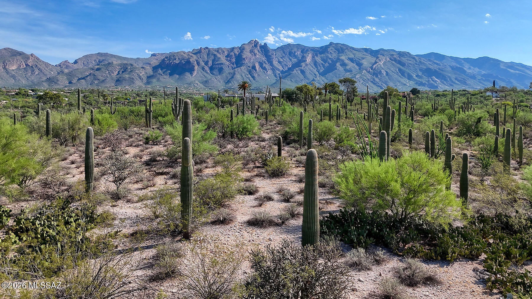 Catalina Foothills Estates - Land