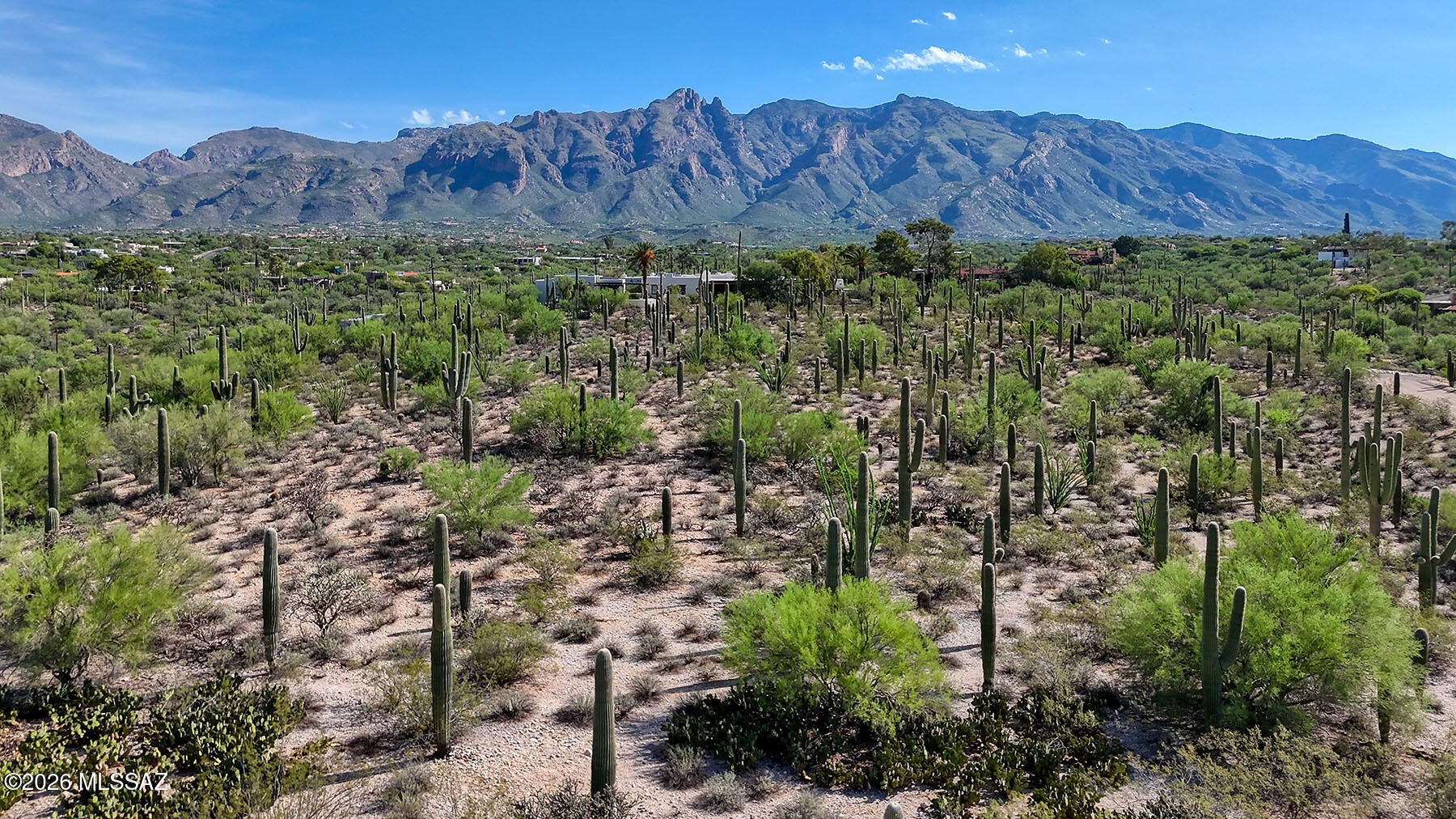Catalina Foothills Estates - Land