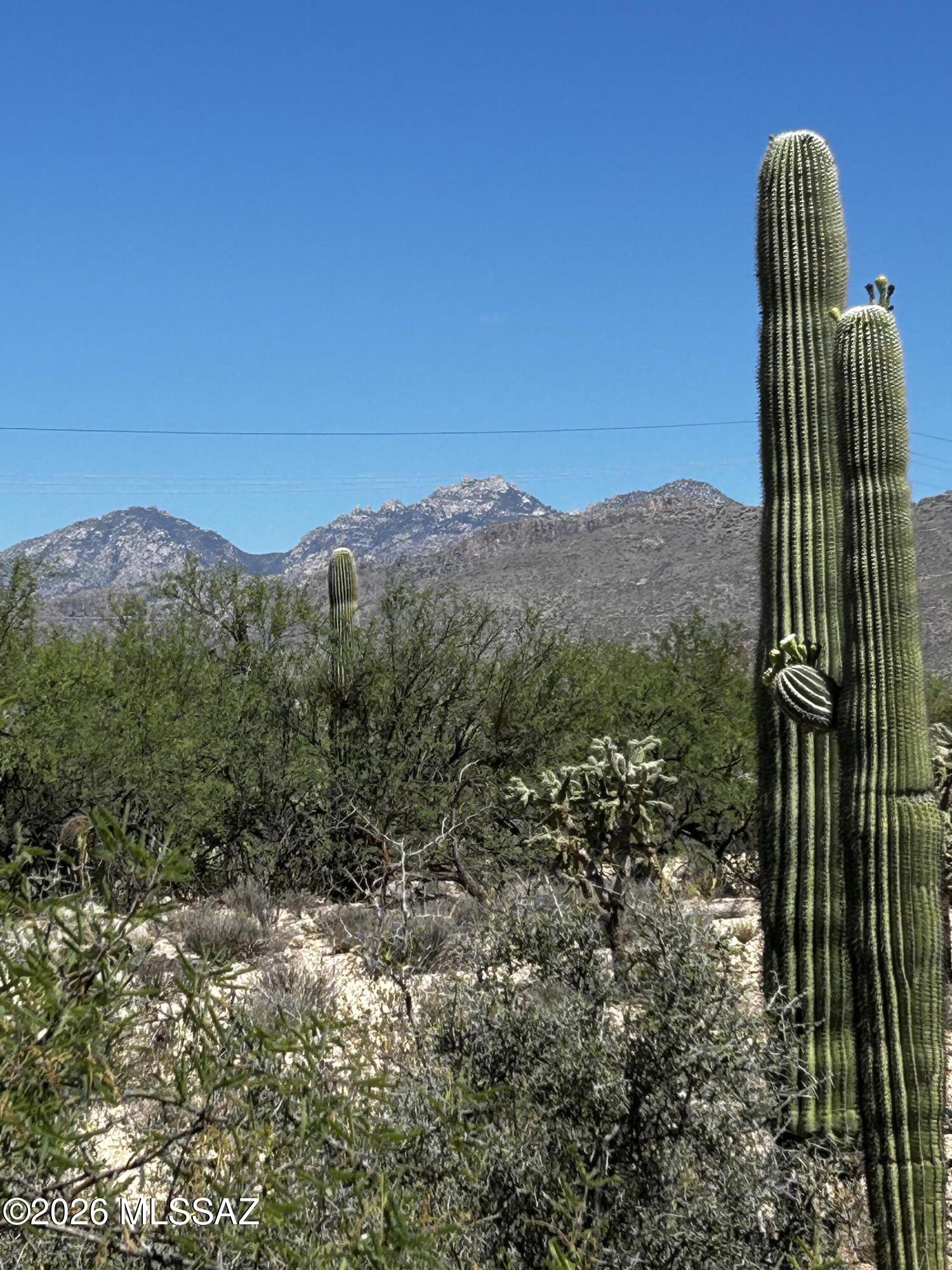 Agua Caliente Ranch Estates (1-46) - Land