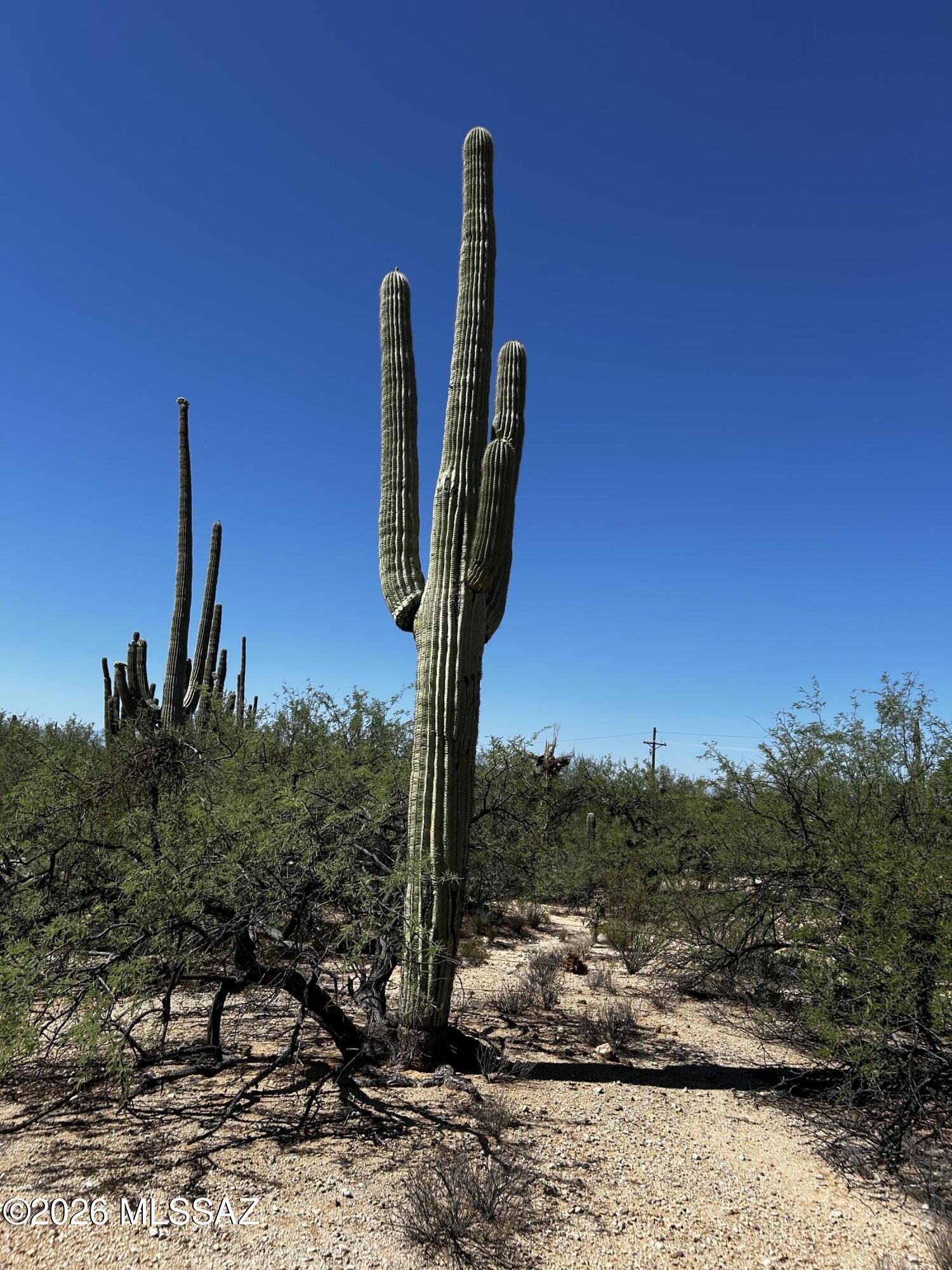 Agua Caliente Ranch Estates (1-46) - Land