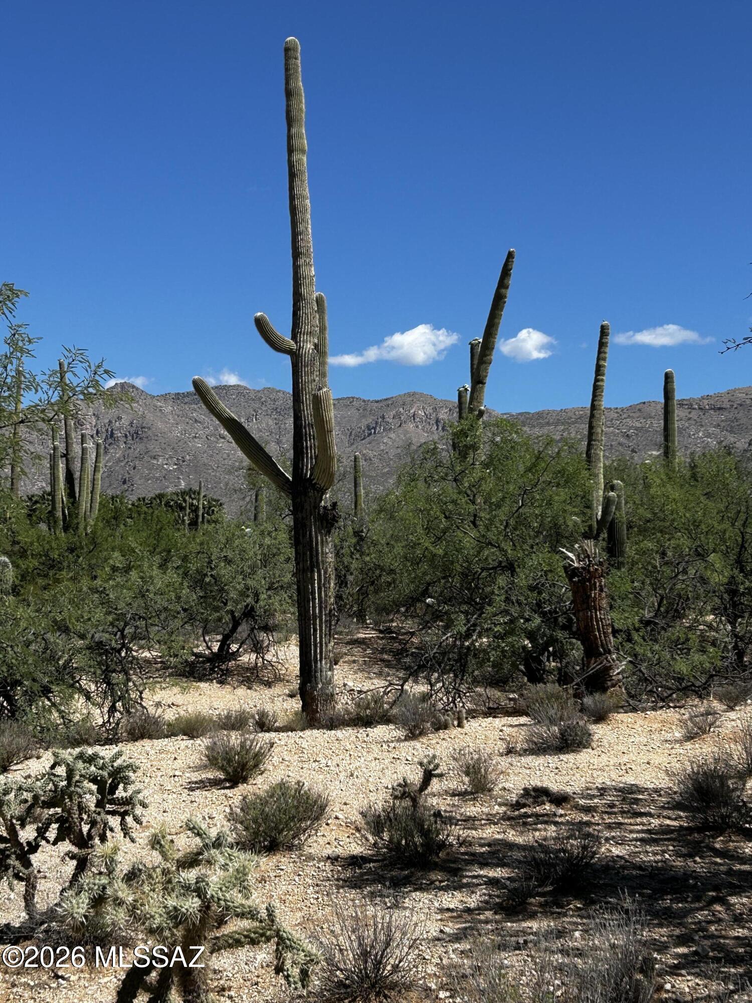 Agua Caliente Ranch Estates (1-46) - Land