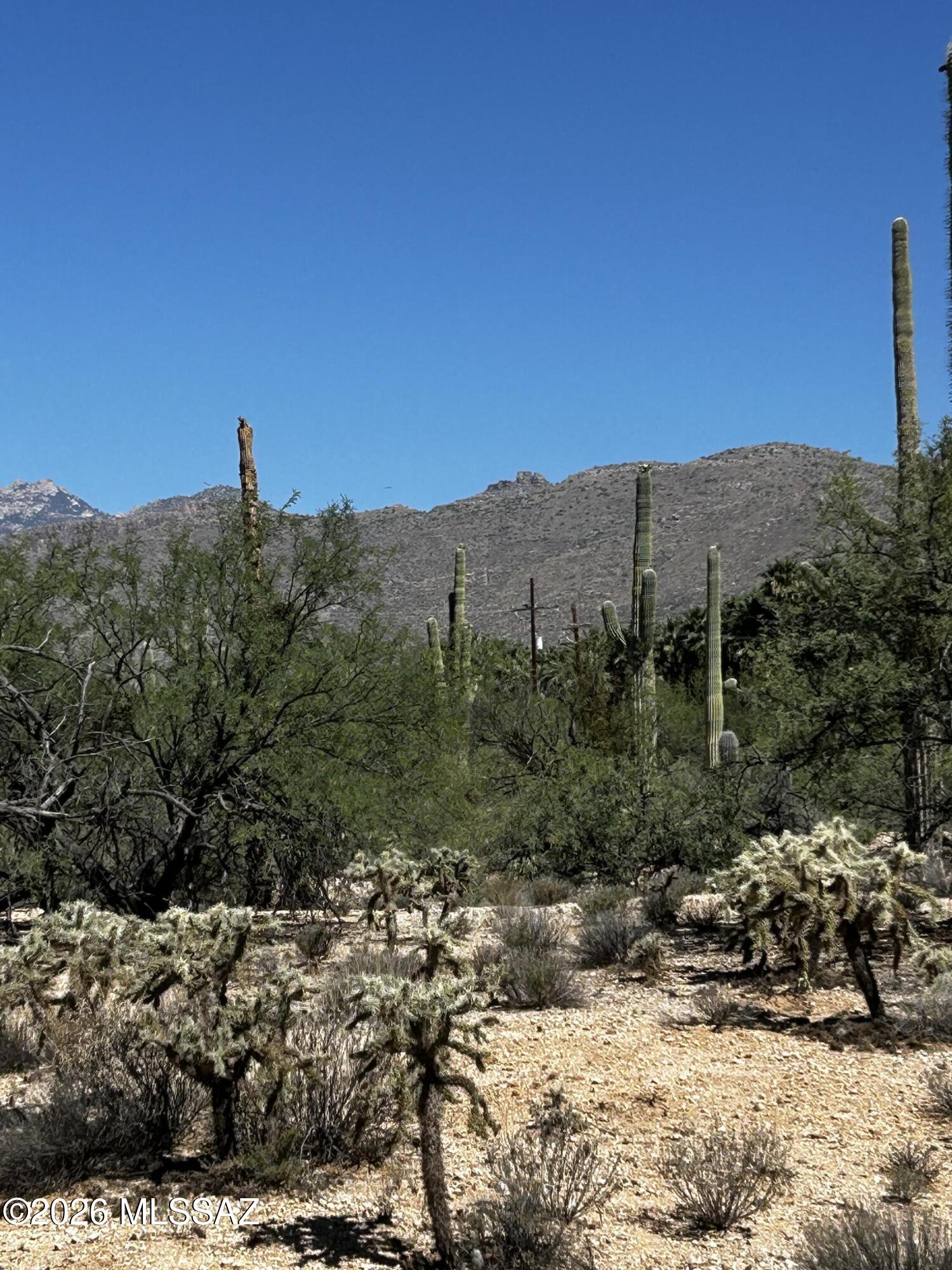Agua Caliente Ranch Estates (1-46) - Land