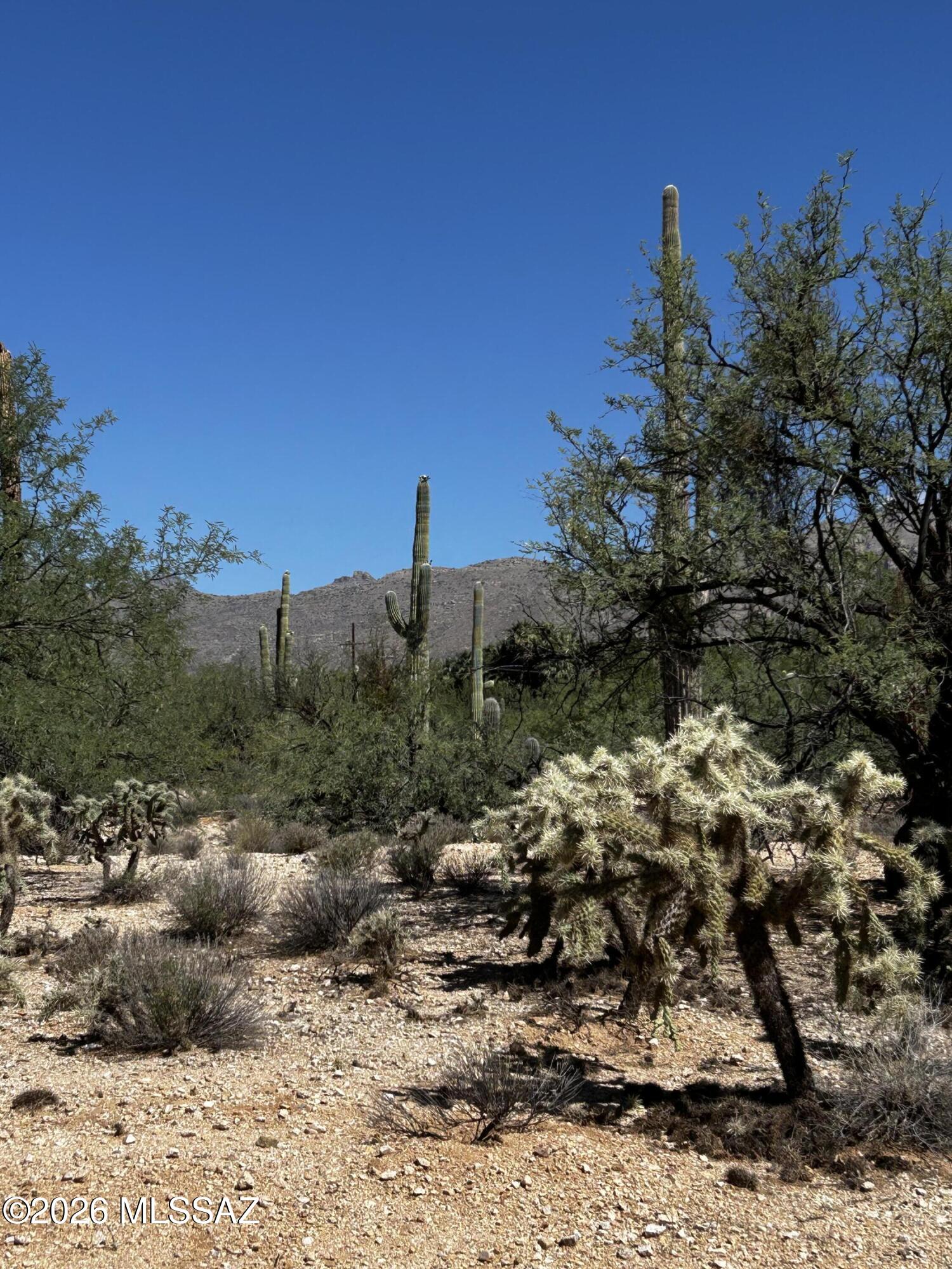Agua Caliente Ranch Estates (1-46) - Land