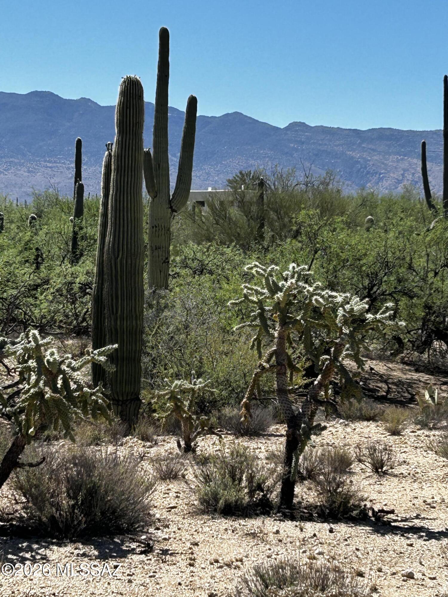 Beautiful 3.4 Acres of flat Horse Property across the Street from the lovely  Agua Caliente Park!  Easy site prep and completely  useable land. No HOA! Award winning Tanque Verde Schools.
