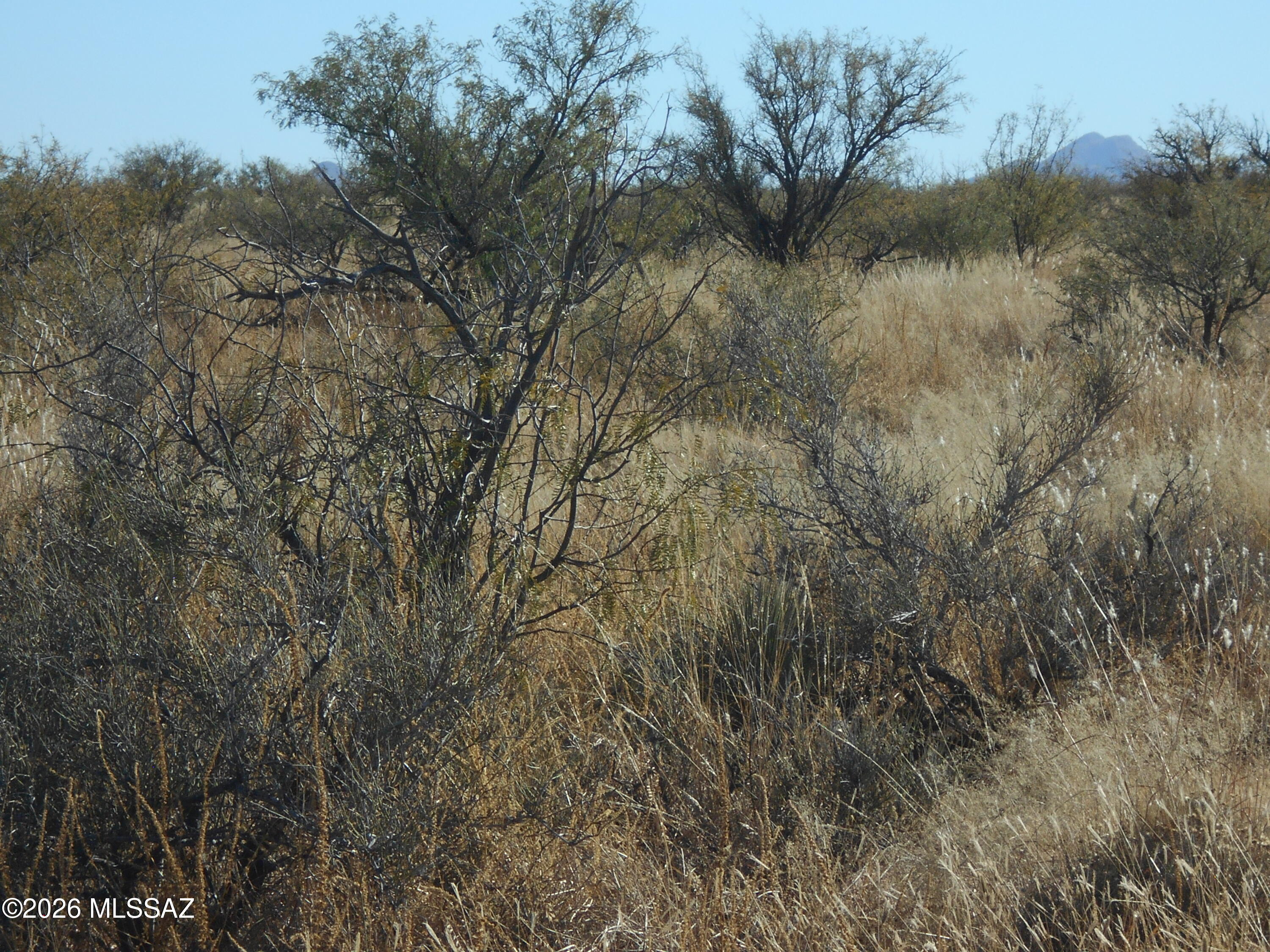 Arizona Sun Sites - Land