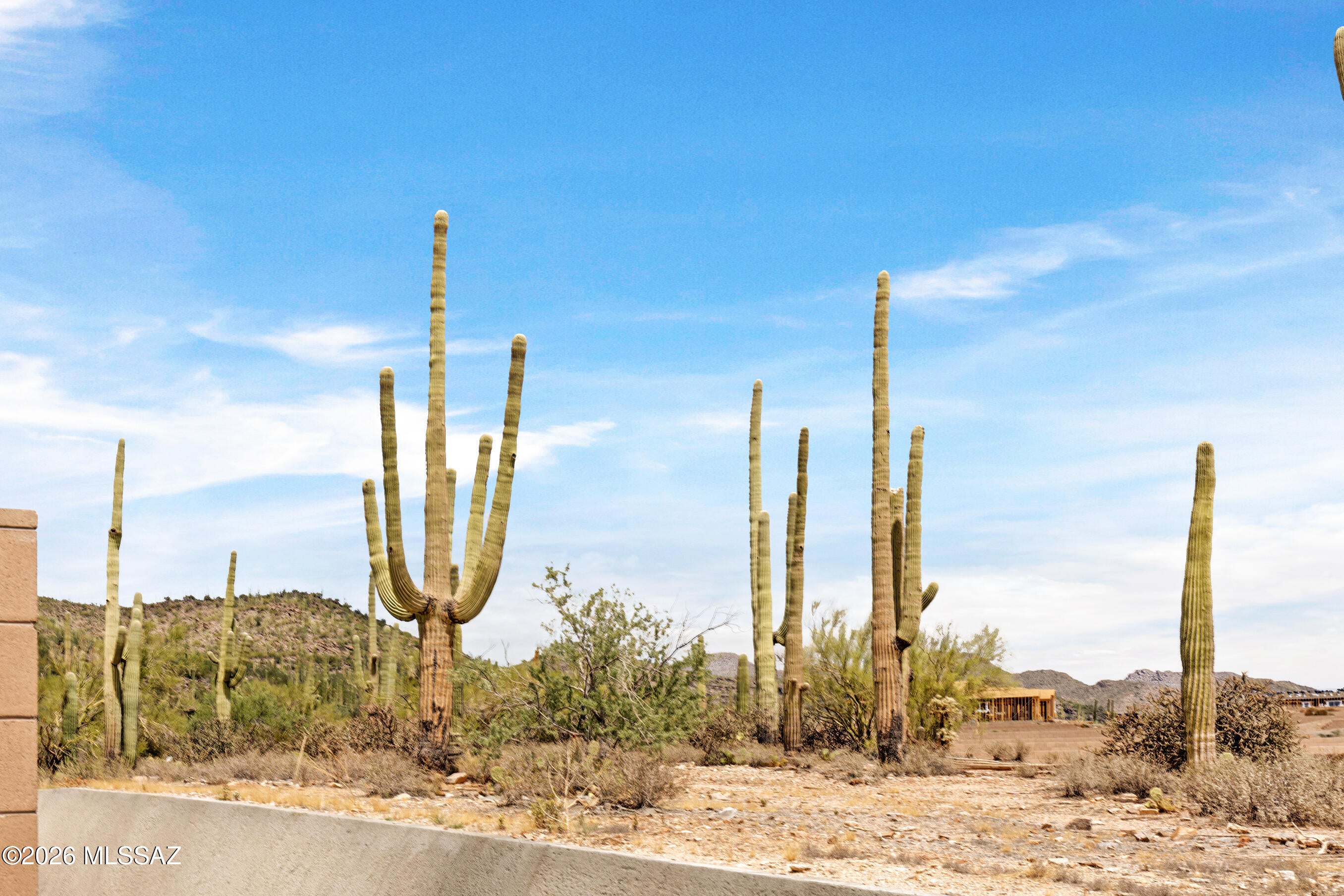 Saguaro Reserve II at Dove Mountain - Residential