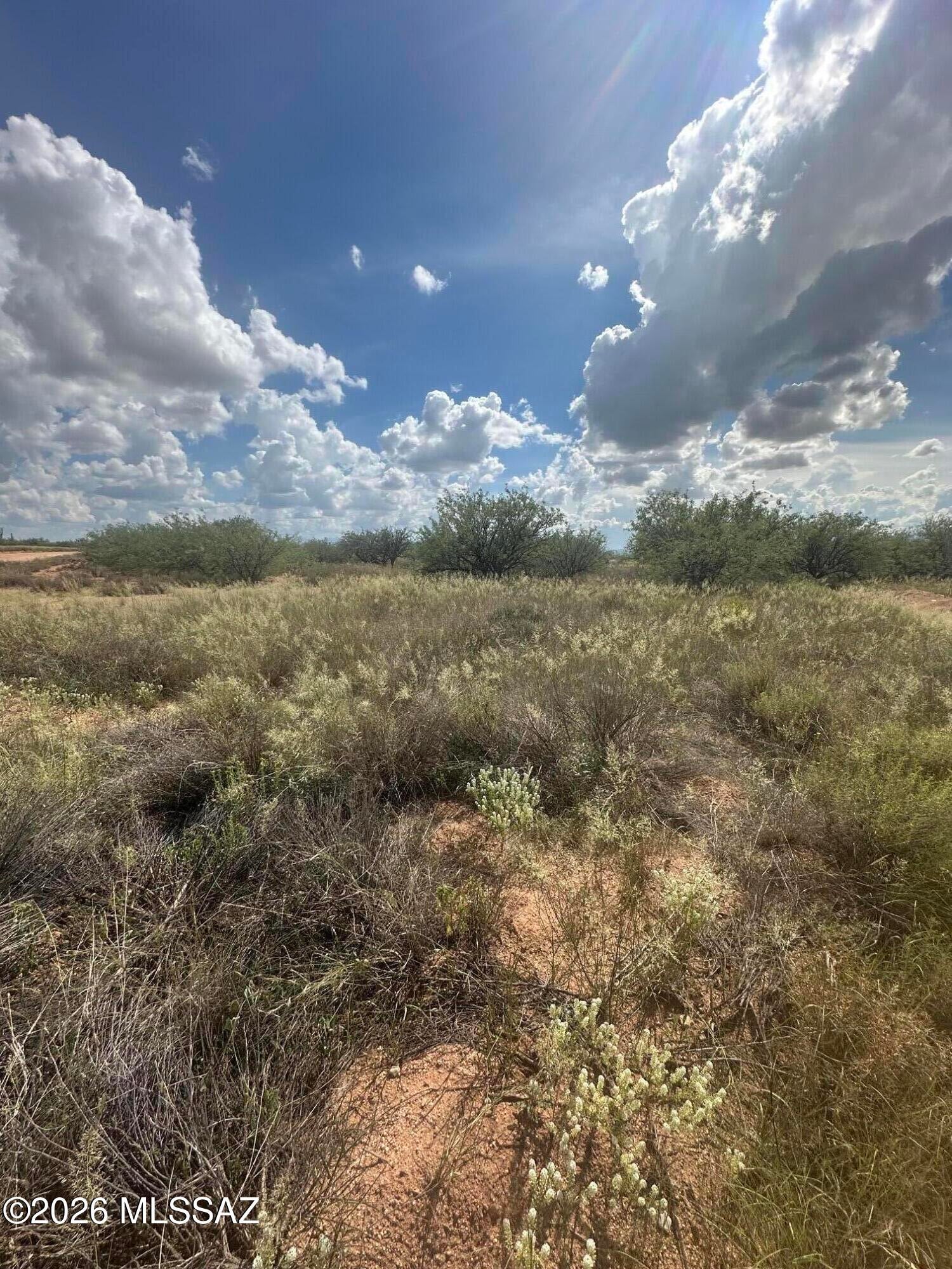Dragoon Mountain Ranch - Land