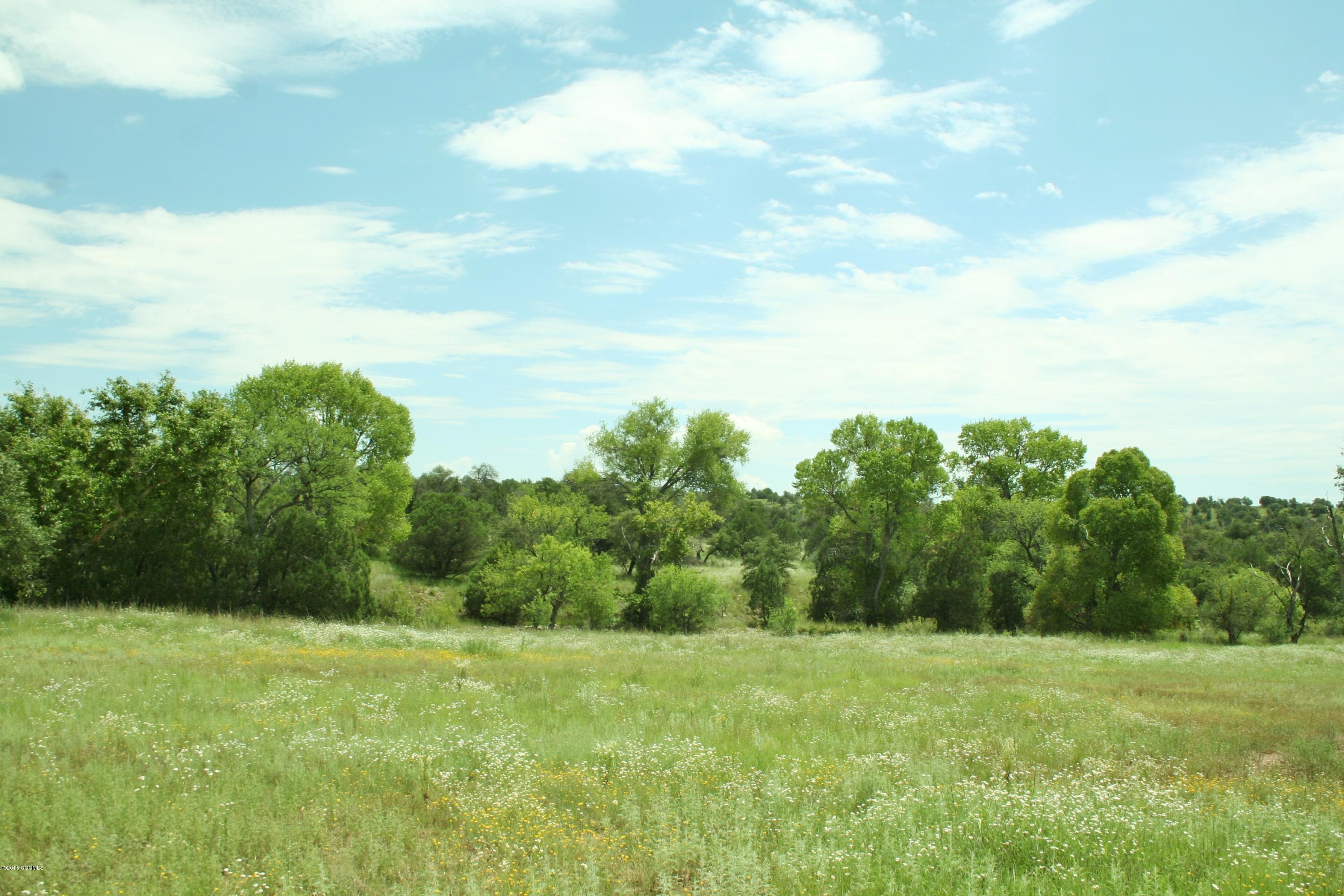 Unsubdivided - Farm
