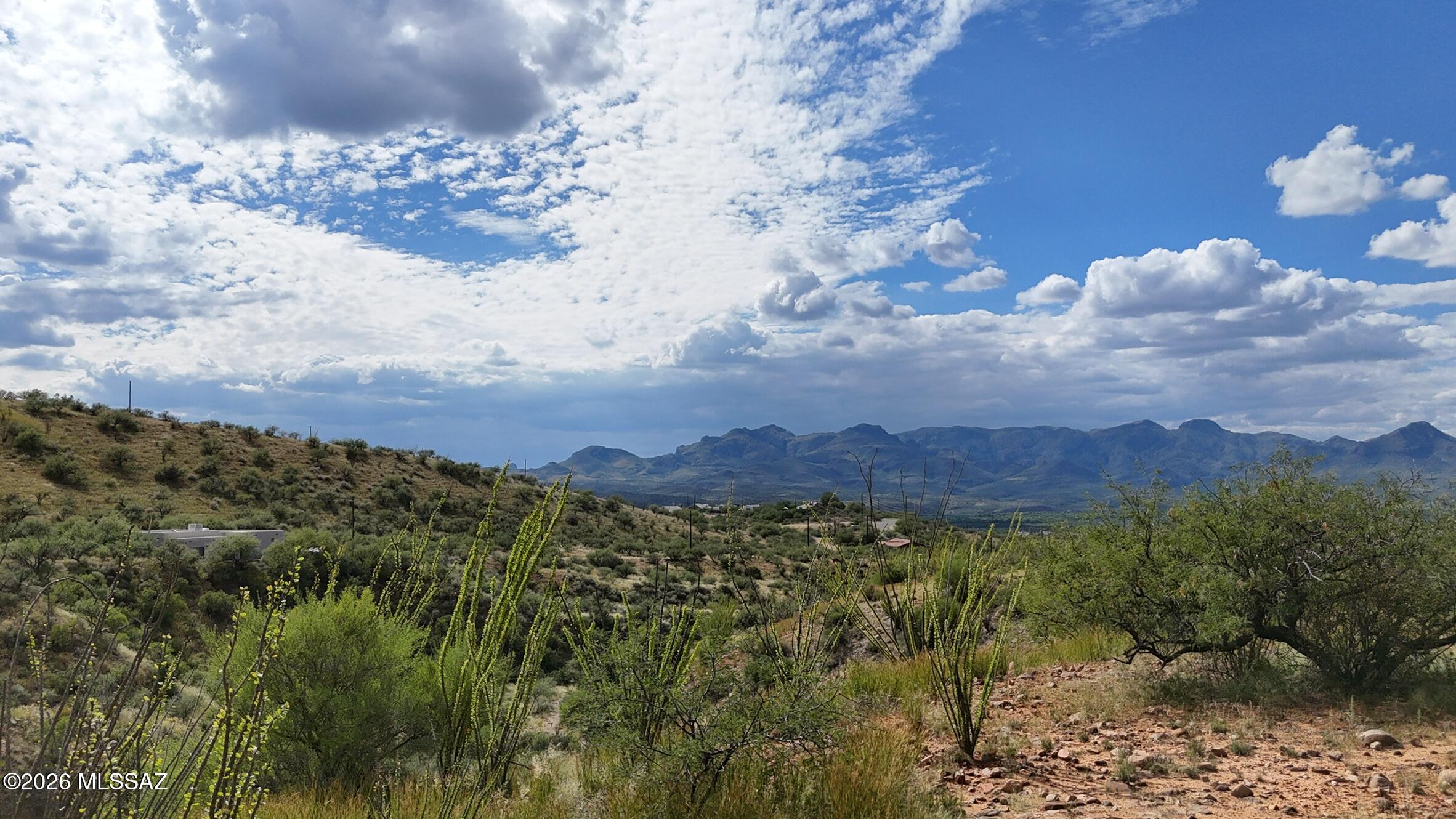 Rio Rico Ranchettes 17 - Land