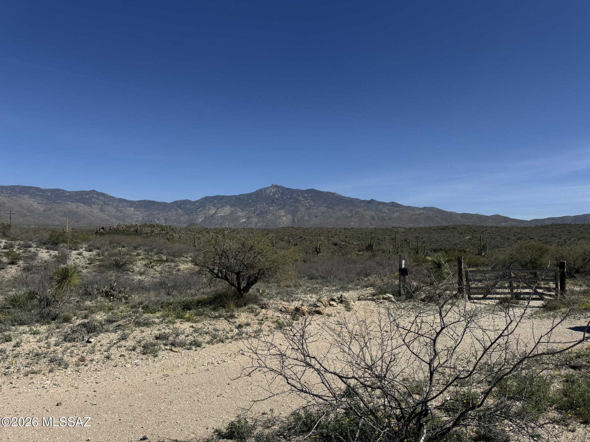 Saguaro National PARK is on your eastern boundary! Seriously a National Park for a neighbor...WOW!  The property is literally the end of the road stopping at the NPS gate so you have the utmost in privacy here...
Topography is lightly rolling with expansive views in all directions but it showcases the Rincons from prime build sites.  The lot comes with 1/5 share of a well which is on the north property line next to the power pole for TEP.  Add a septic system and a propane tank and all utilities are in!!  If you head out to see it, 3 of the 4 property corners are marked by PVC so easy to find.  (The SW corner is due west of the southeastern corner)  
A major plus here...the seller had a survey done after they bought it. Dated Feb 2020 so planning can begin in earnest!!  Better hurry;-)