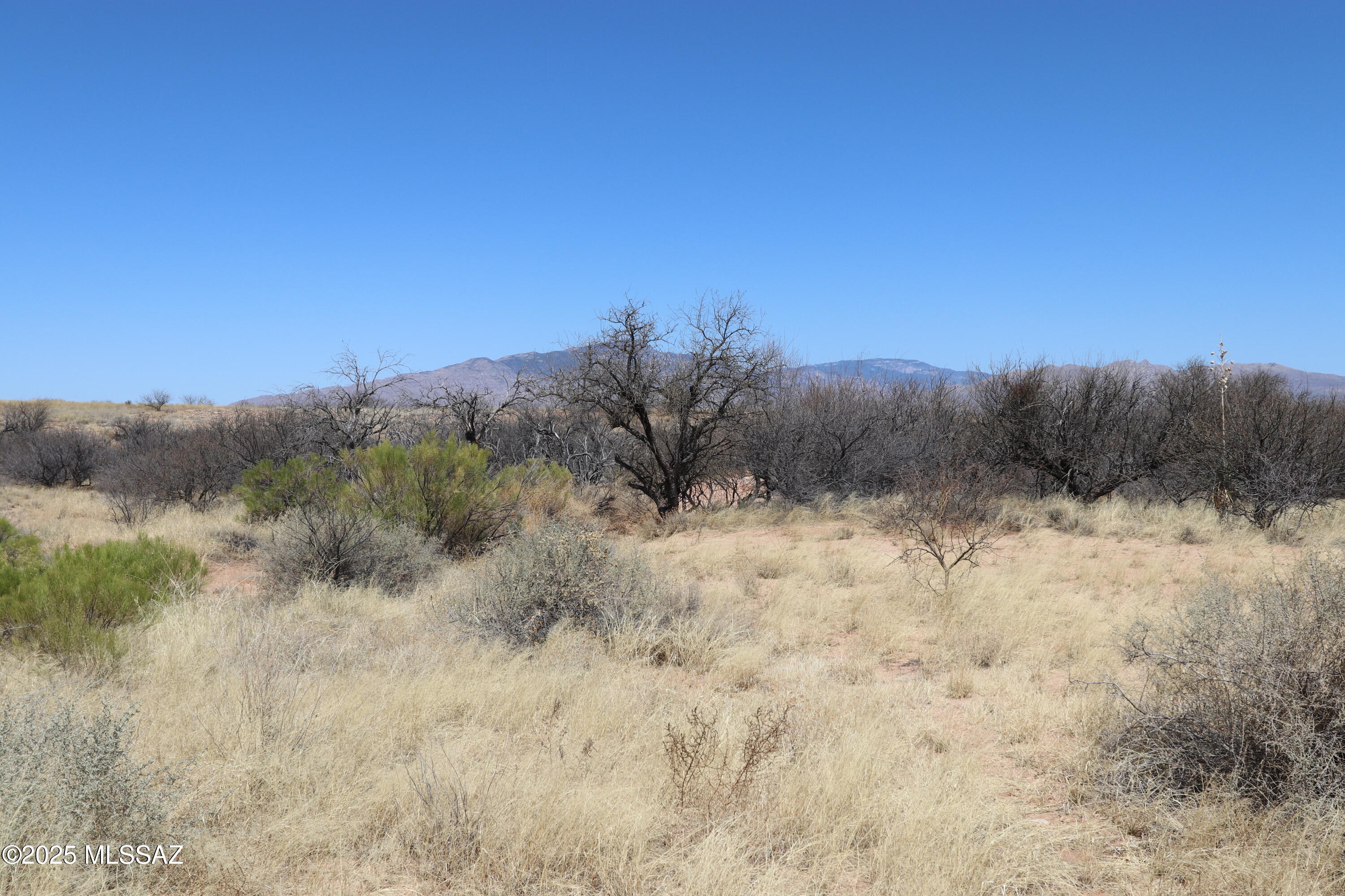 19.93 ACRES of vacant land for sale in  Benson, AZ. This parcel to spilt into 2 approx. 10 acre each lots.  Located  near the intersection of Interstate 10 and AZ State highway 90. It is approximately a 25 minute drive to Tucson, Sierra Vista and Willcox.
The elevation is a good 1000 feet higher than Tucson which produces a cooler climate than Tucson. Benson is in Cochise County which borders New Mexico and Old Mexico. Cochise County provides a laid back country atmosphere  compared to the Tucson. This location has commercial potential.