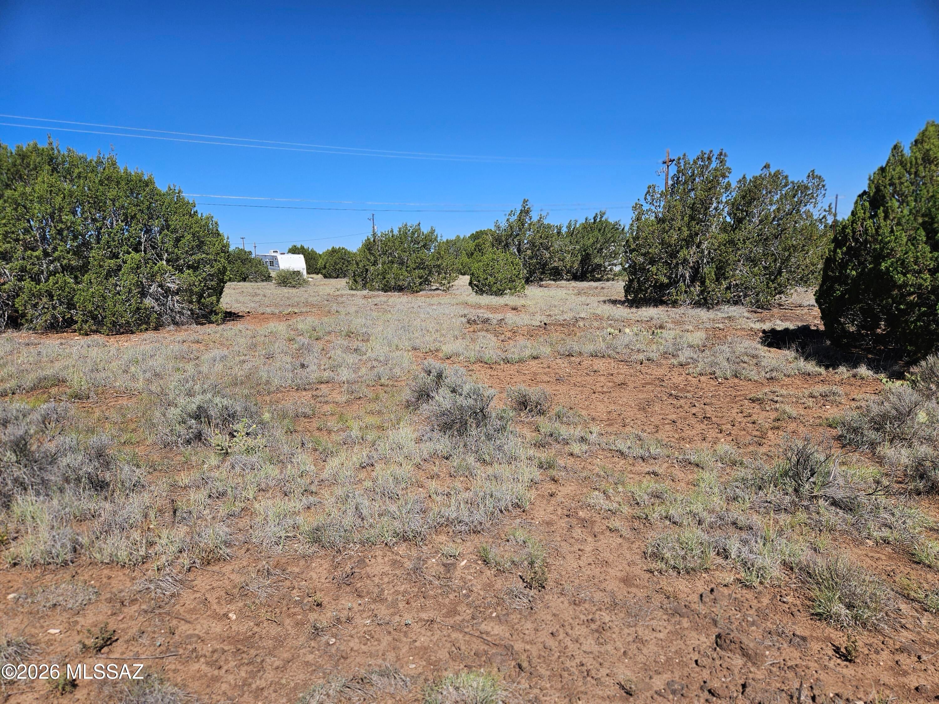 Out Of Pima County - Land