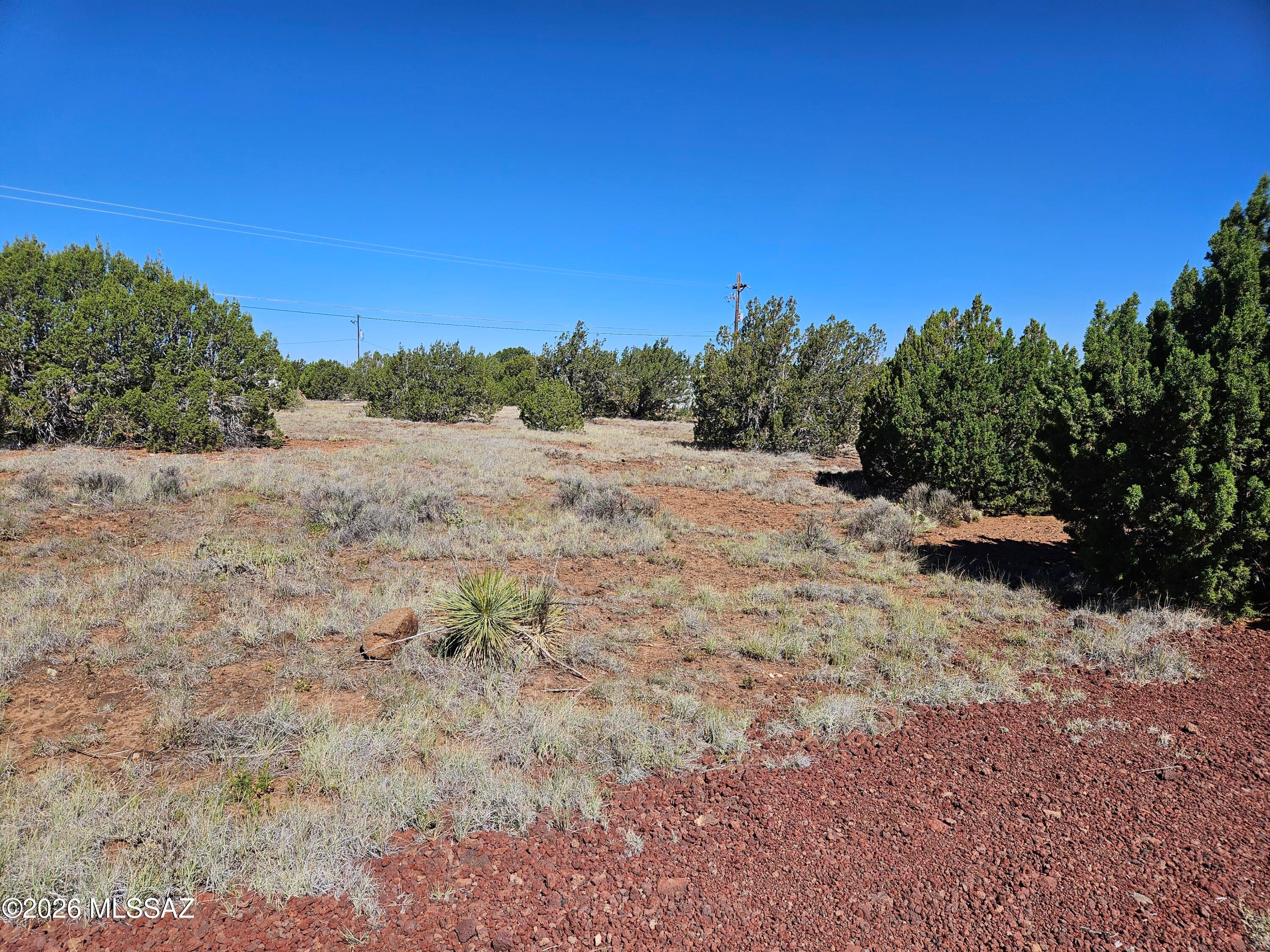 Out Of Pima County - Land