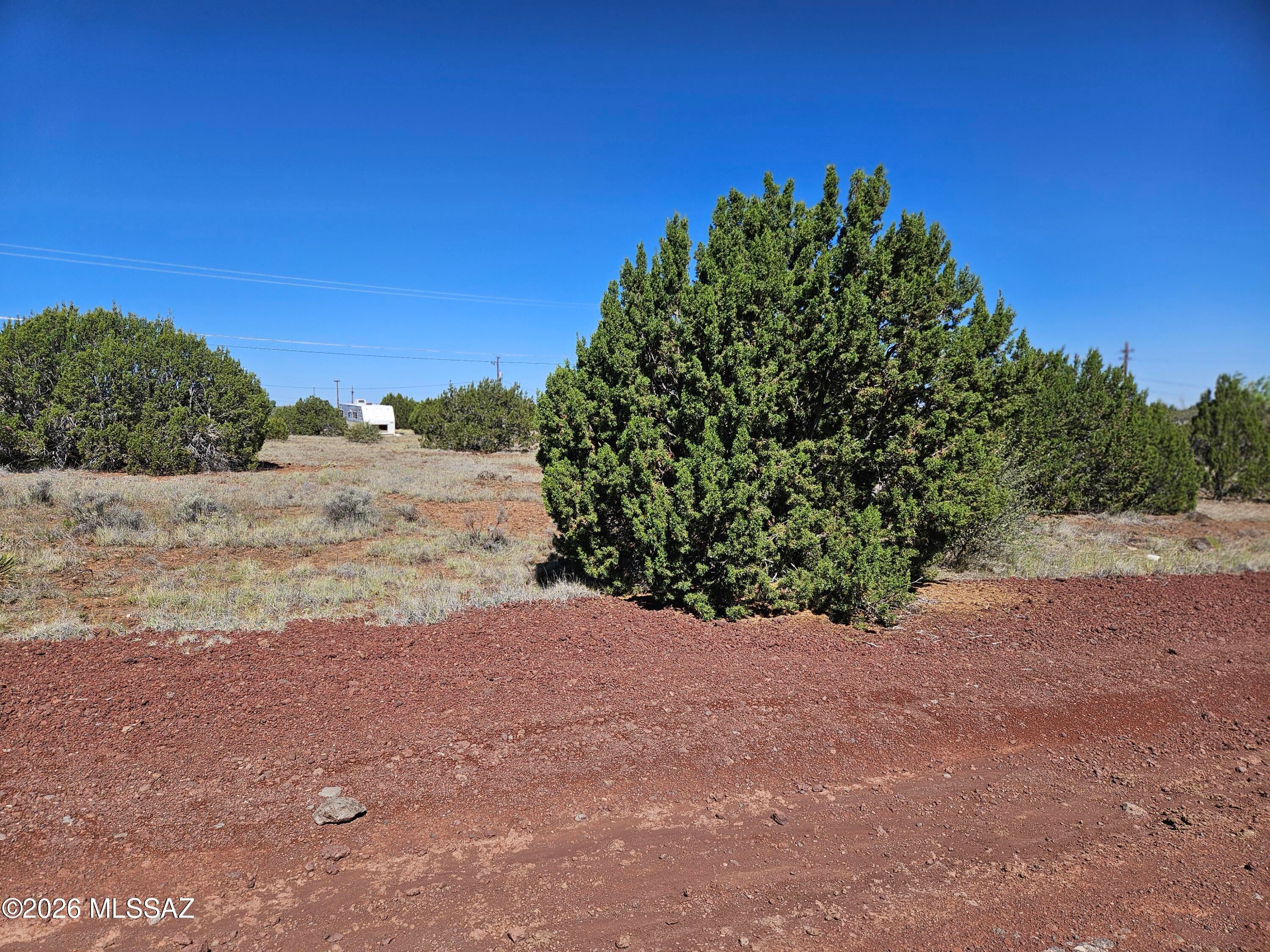 Out Of Pima County - Land