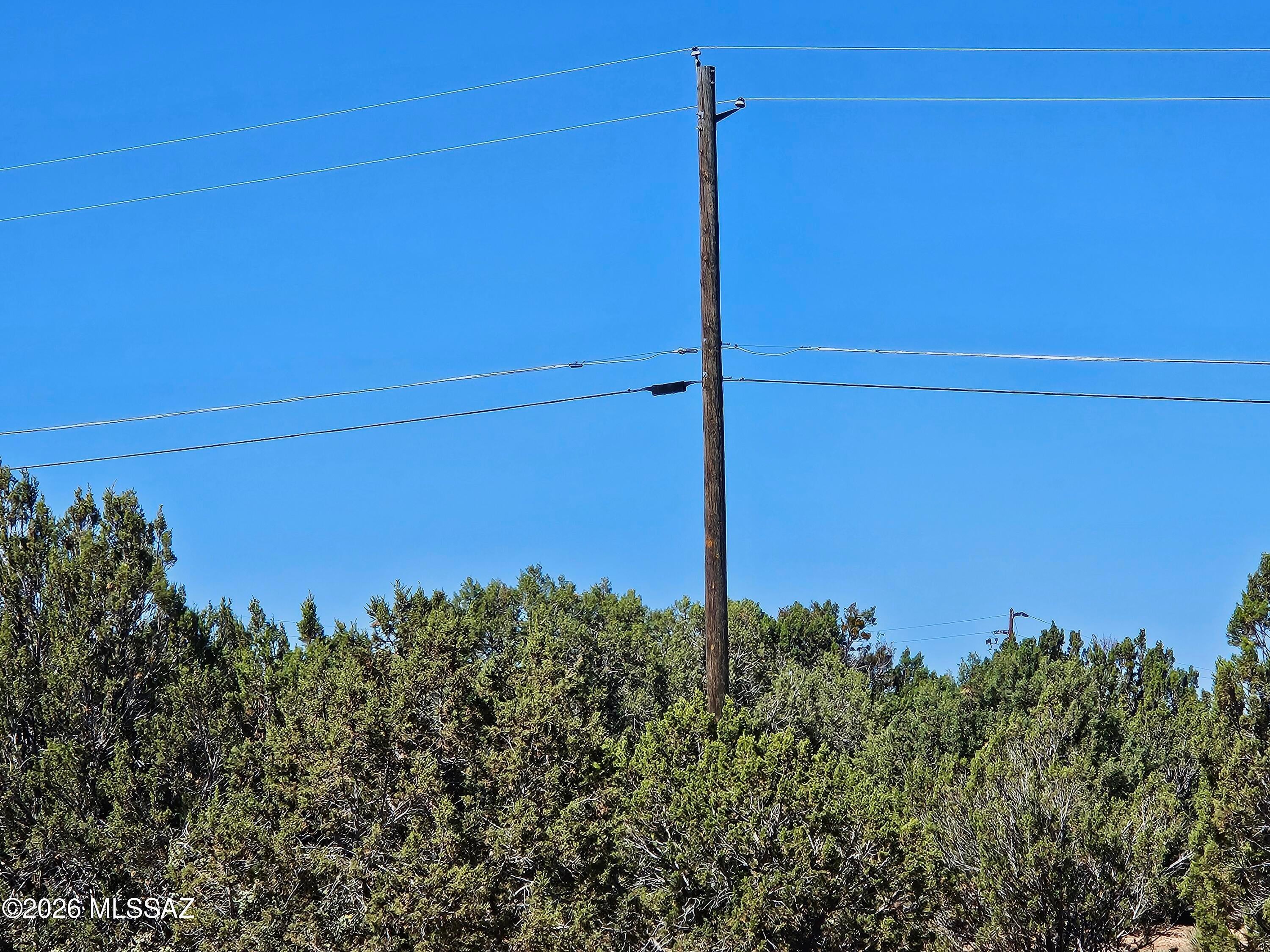 Out Of Pima County - Land
